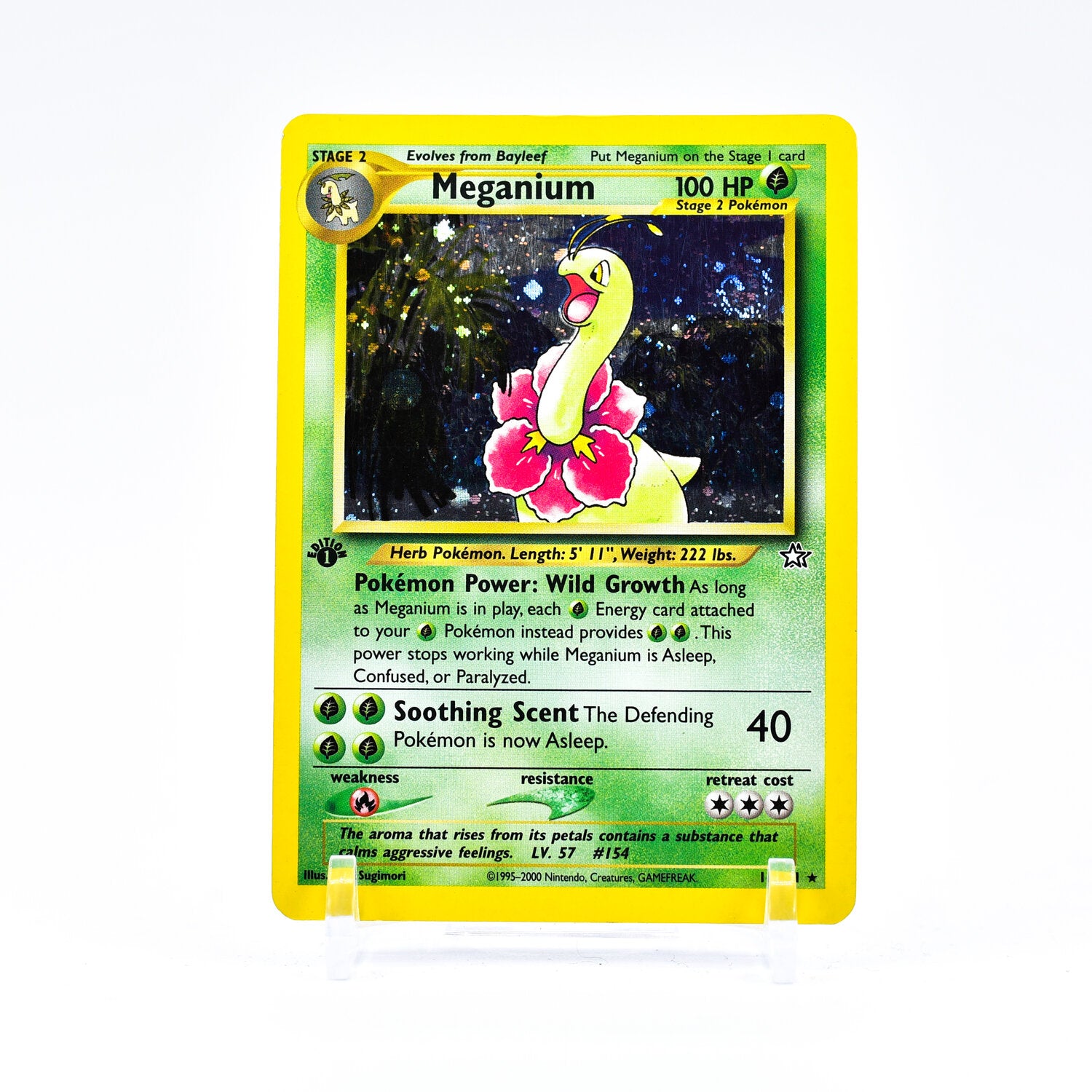 neo pokemon cards, neo pokemon, vintage pokemon cards, buy pokemon cards, pokemon singles, the poketrade emporium