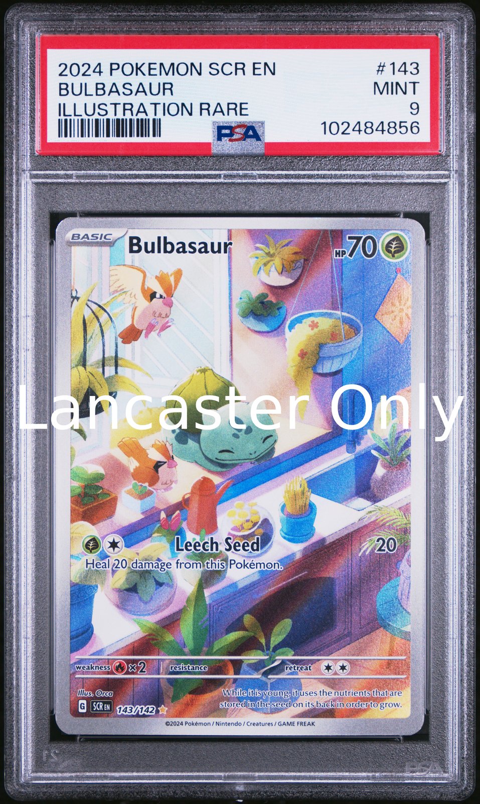 Bulbasaur - 143/142 PSA 9 Stellar Crown Illustration Rare Pokemon - (Lanc)