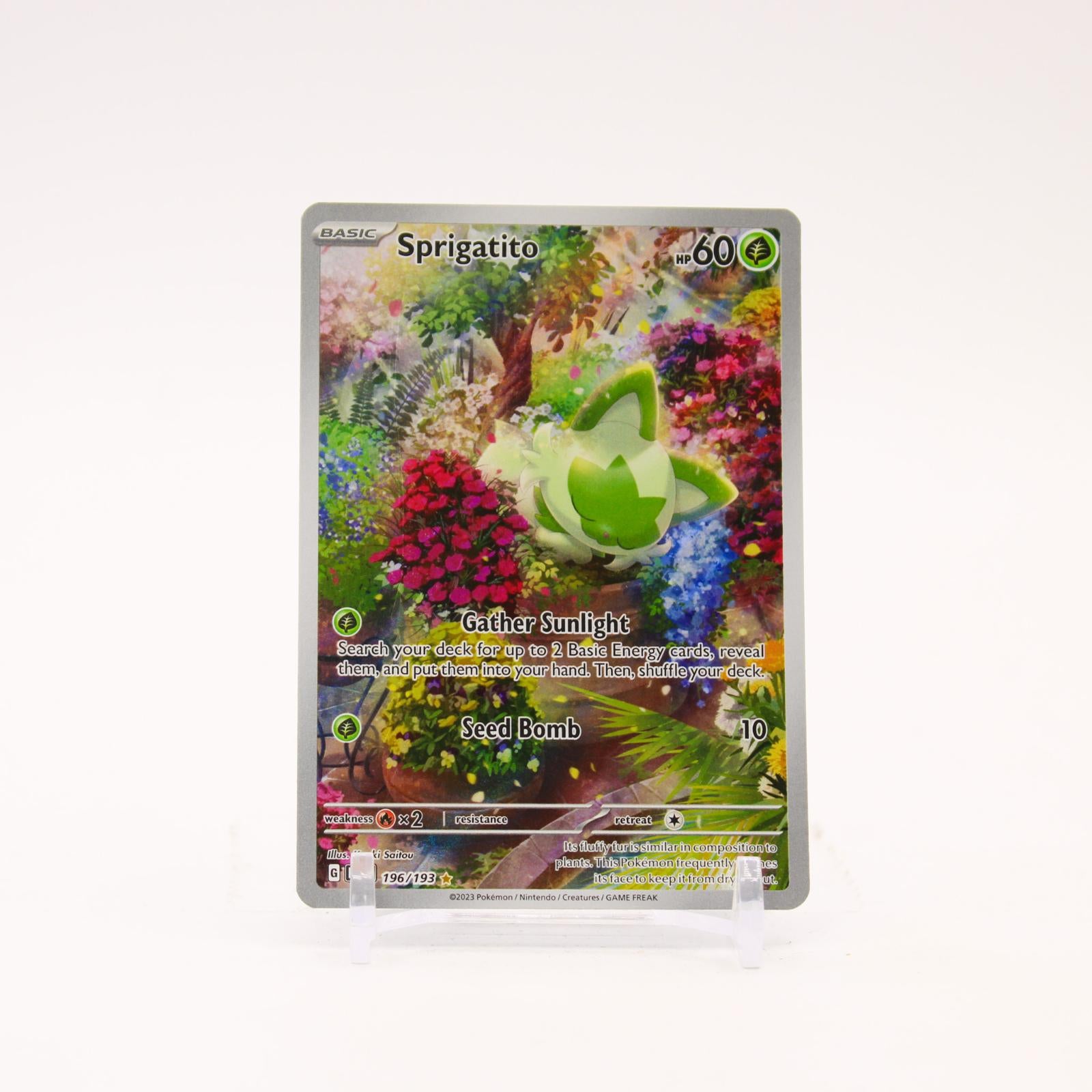 Sprigatito - 196/193 Paldea Evolved Holo Illustration Rare Pokemon - NM/LP