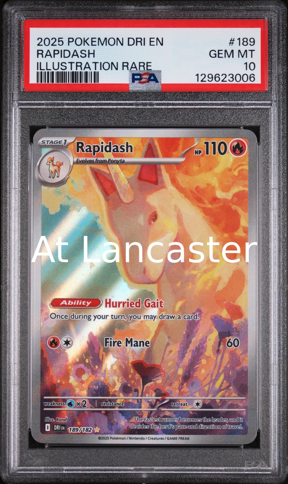 Rapidash - 189/182 PSA 10 Illustration Rare Pokemon (Lanc)