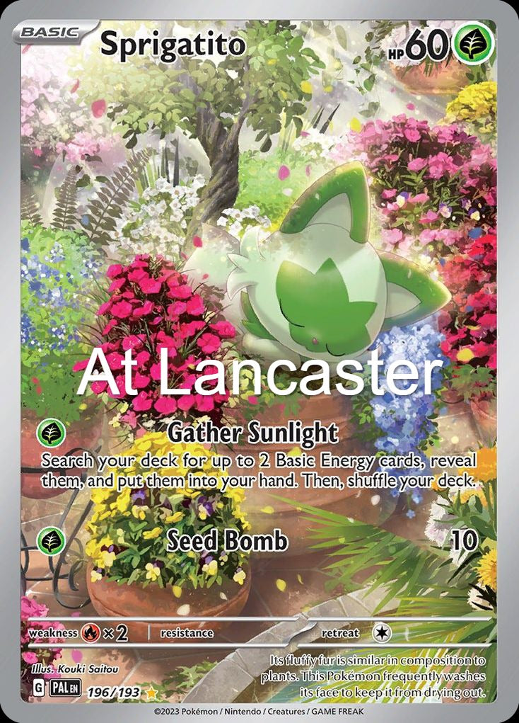 Sprigatito - 196/193 Paldea Evolved Illustration Rare Pokemon - NM/LP (Lanc)