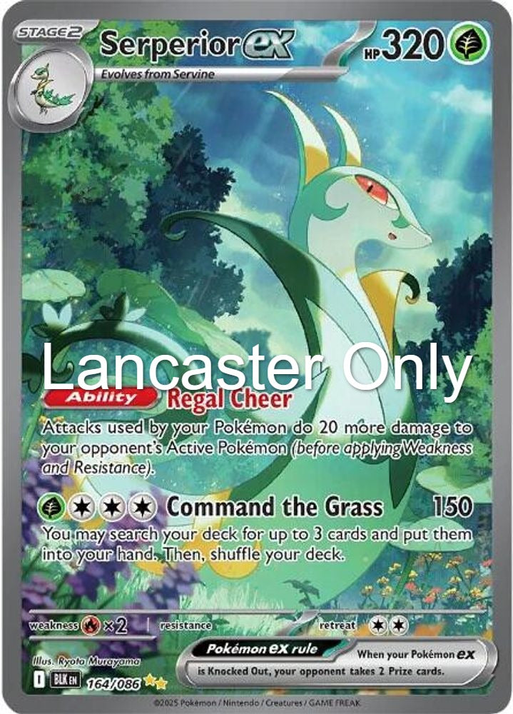 Serperior ex - 164/086 Black Bolt Holo Special Illustration Rare Pokemon - NM (Lanc)