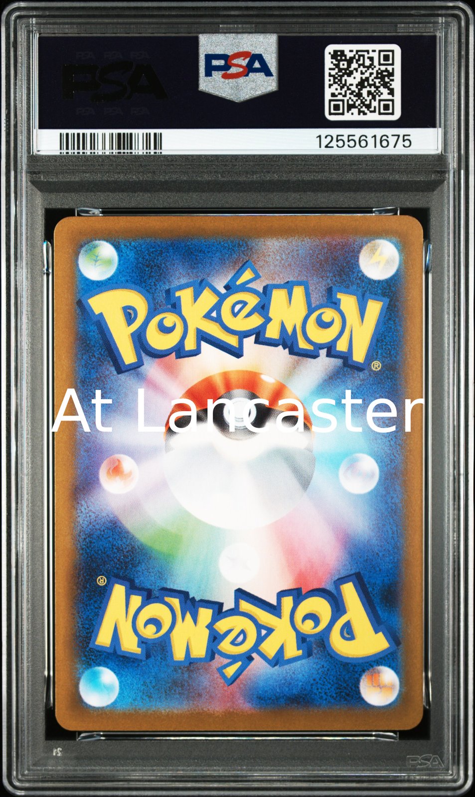 Eevee EX - 223/187 Japanese PSA 10 Special Art Rare Pokemon (Lanc)
