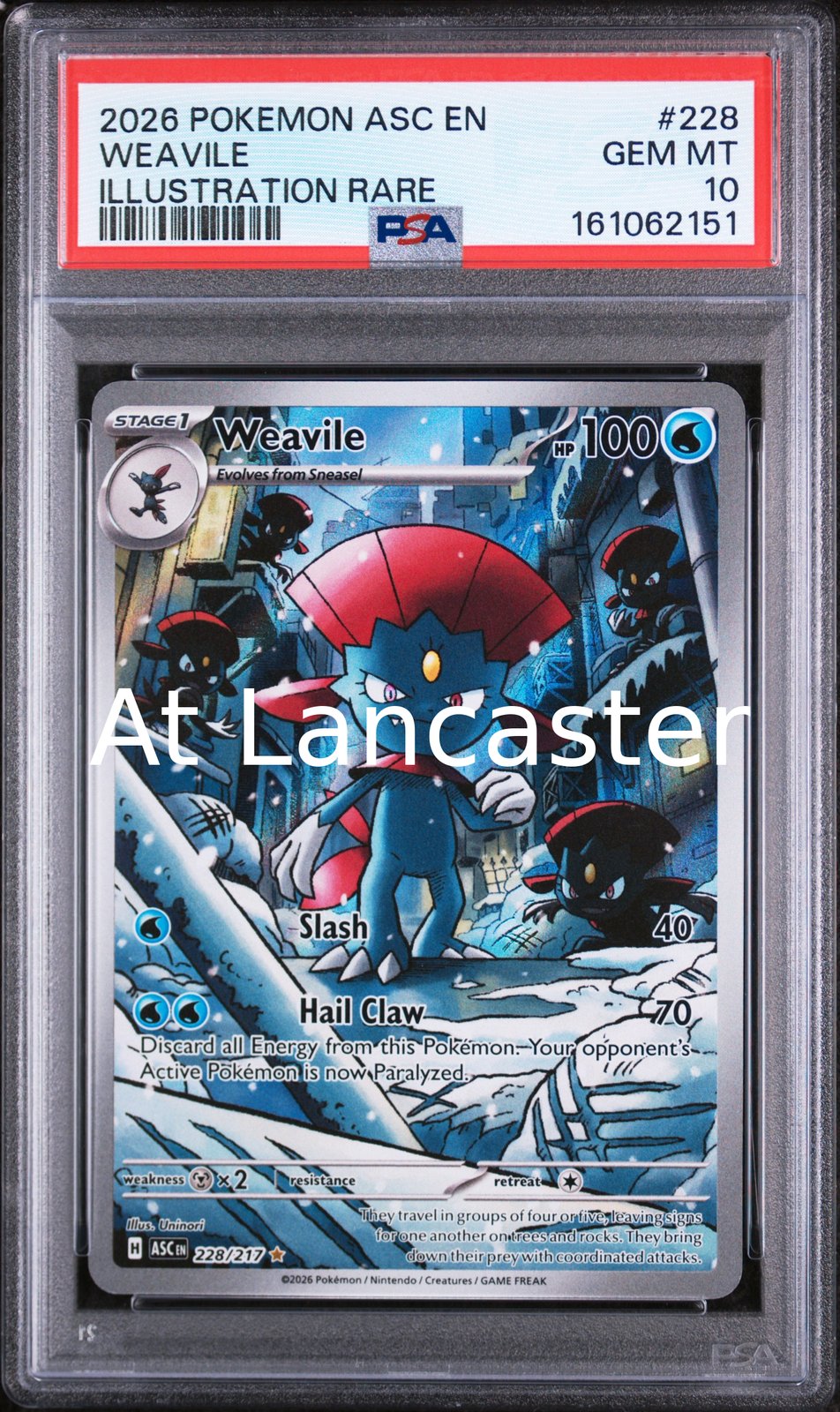 Weavile - 228 PSA 10 Ascended Heroes Illustration Rare Pokemon