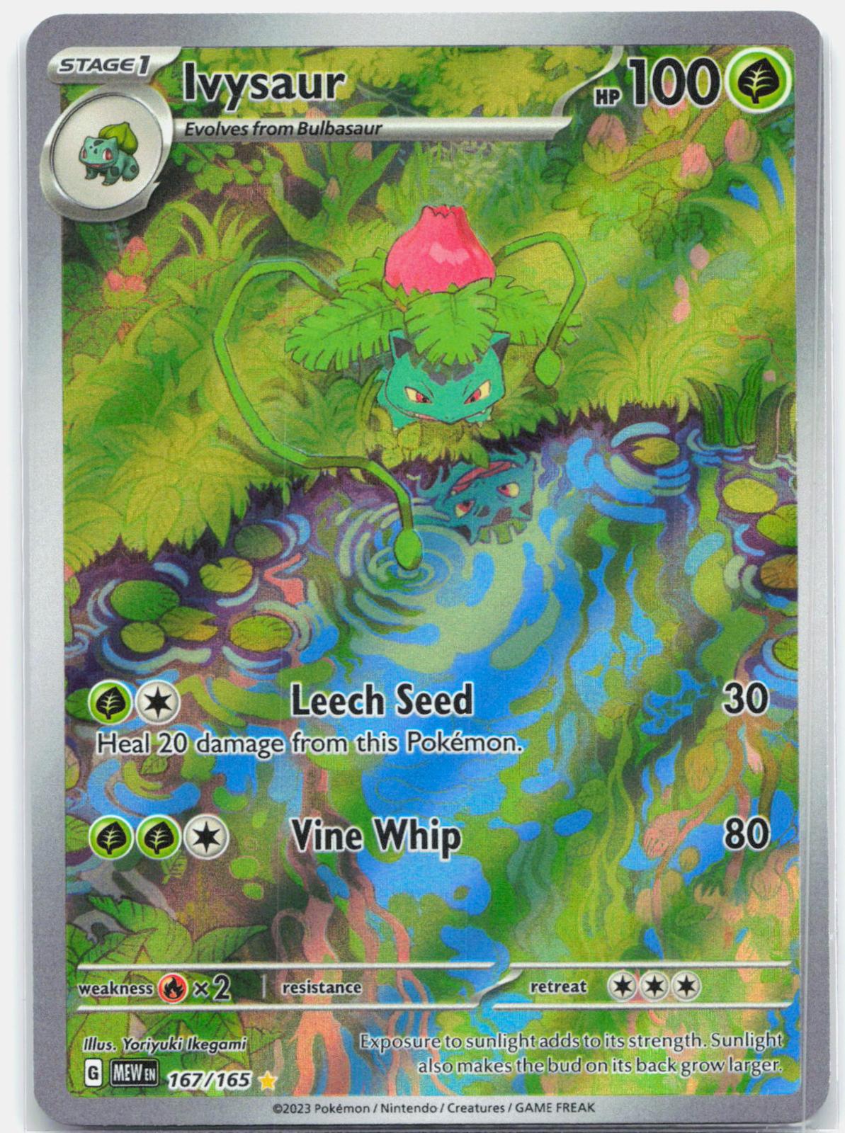 Ivysaur - 167/165 151 Illustration Rare Pokemon - NM