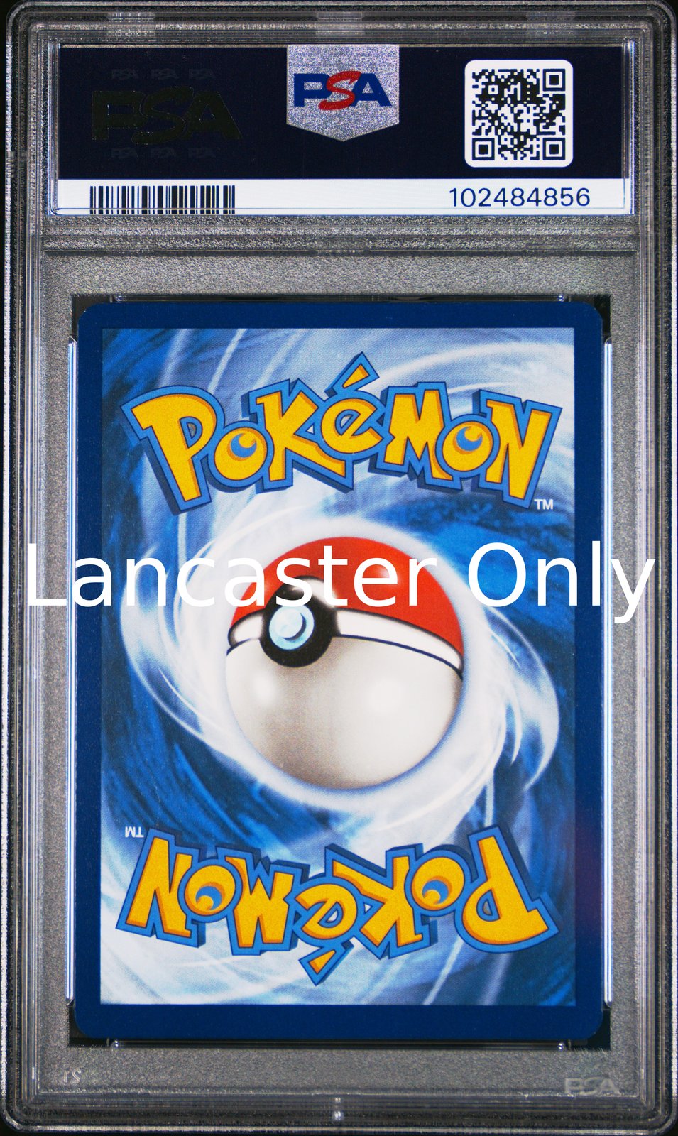Bulbasaur - 143/142 PSA 9 Stellar Crown Illustration Rare Pokemon - (Lanc)