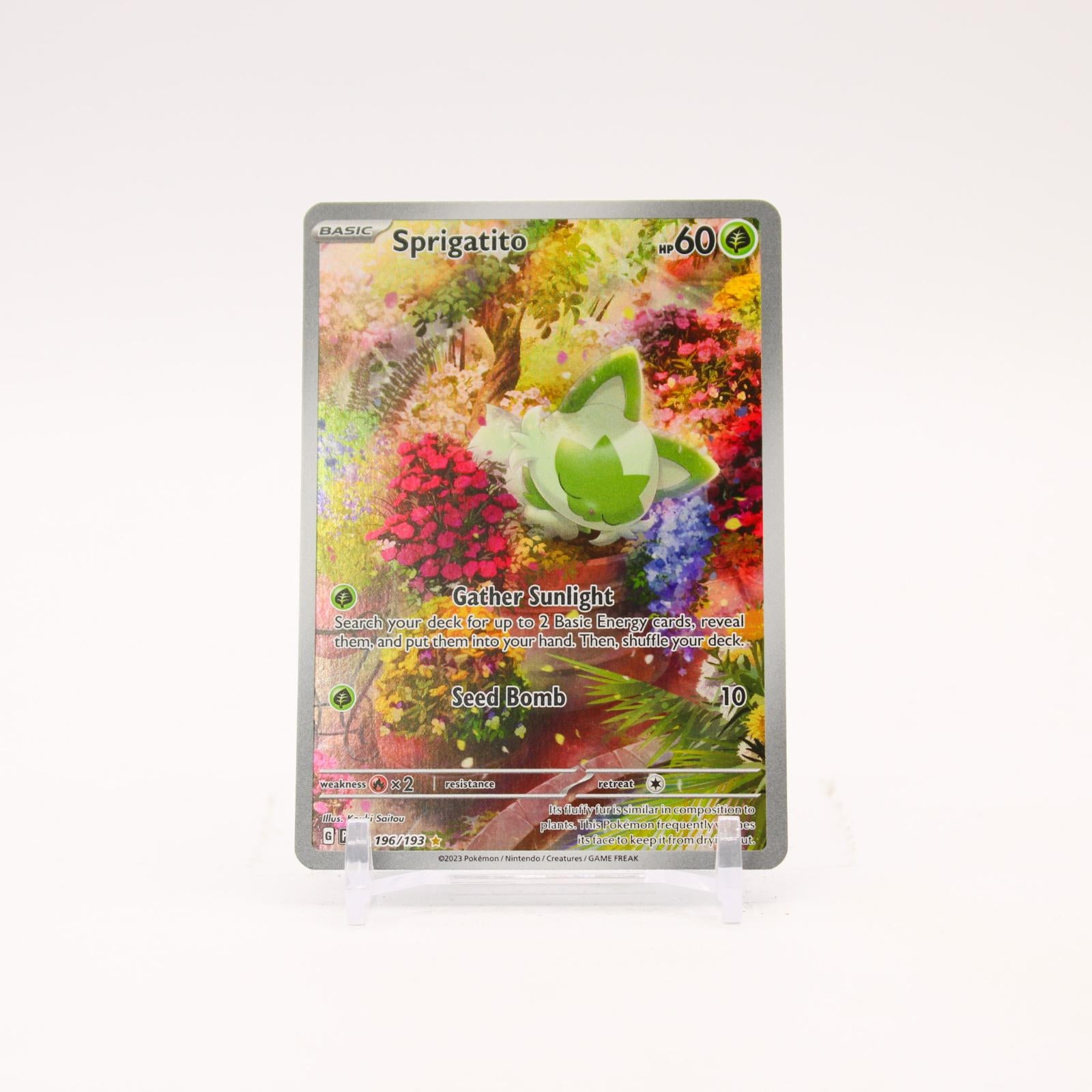 Sprigatito - 196/193 Paldea Evolved Holo Illustration Rare Pokemon - NM