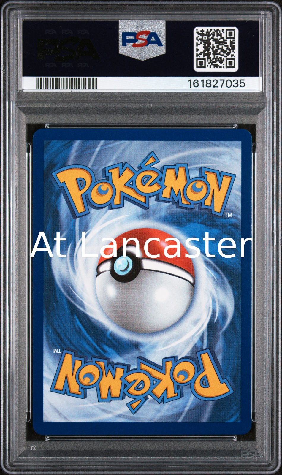 Mega Charizard X EX - 125/094 PSA 10 Special Illustration Rare Pokemon