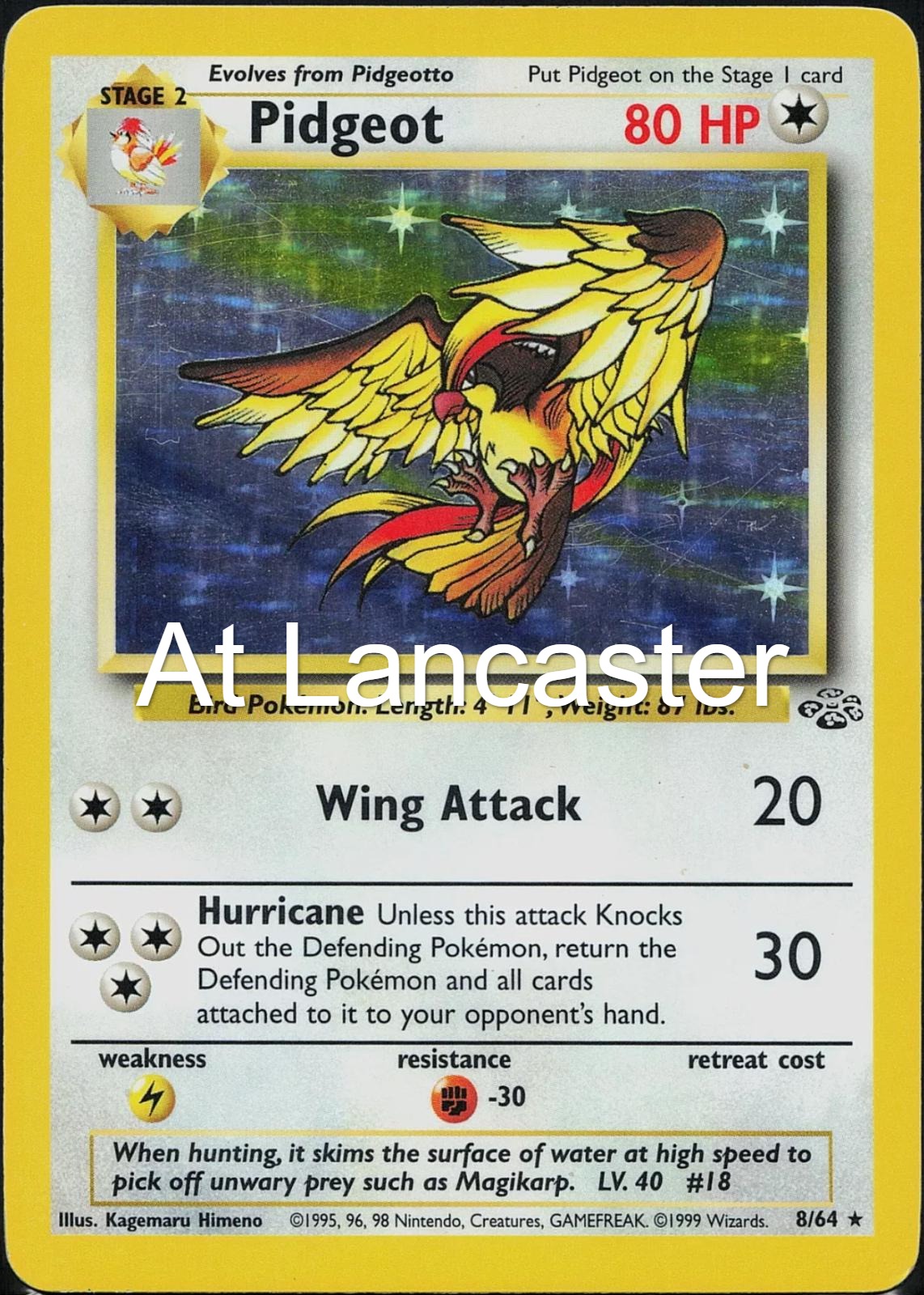 Pidgeot - 8/64 Jungle Rare Pokemon - LP (Lanc)