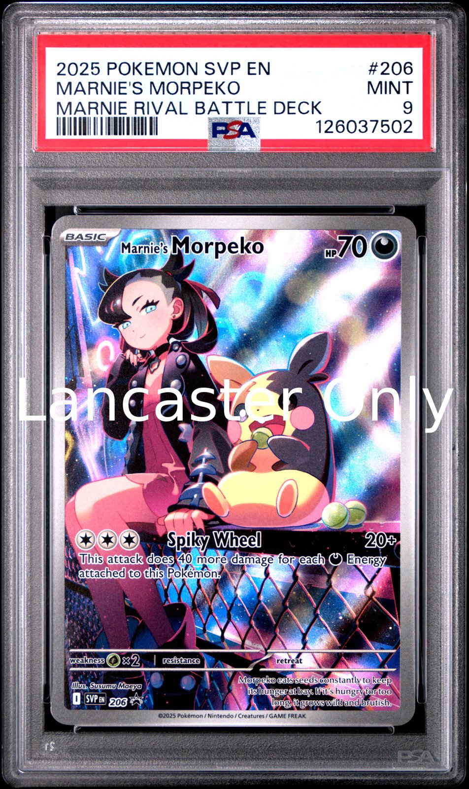 Marnie's Morpeko - 206 PSA 9 Marnie Rival Battle Deck Pokemon