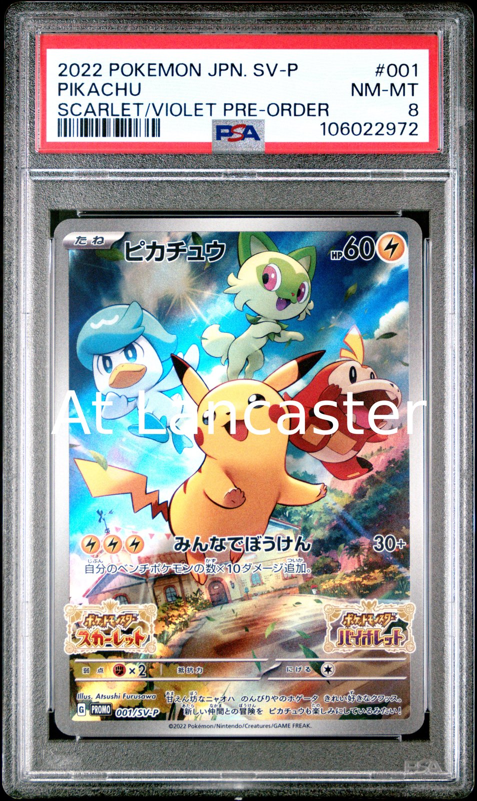 Pikachu - 001/SV-P Japanese PSA 8 Scarlet & Violet Pre-Order Pokemon (Lanc)