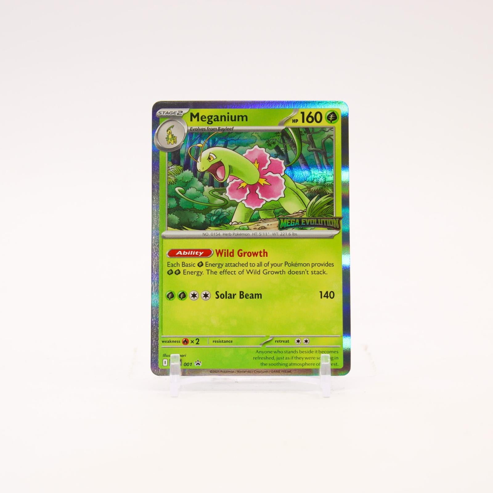 Meganium - MEP001 Mega Evolution Holo Promo Pokemon - NM