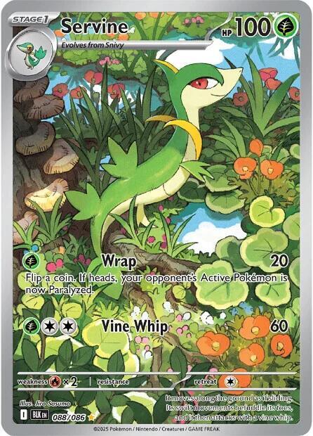 Servine - 088/086 Black Bolt Illustration Rare Pokemon - NM/MINT