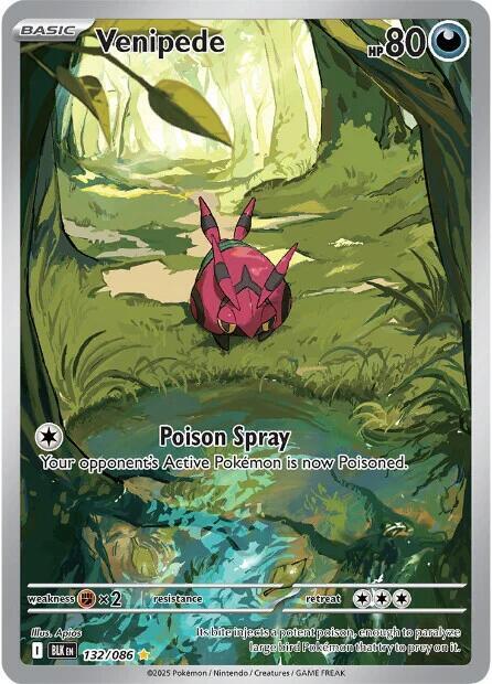 Venipede - 132/086 Black Bolt Illustration Rare Pokemon - NM/Mint