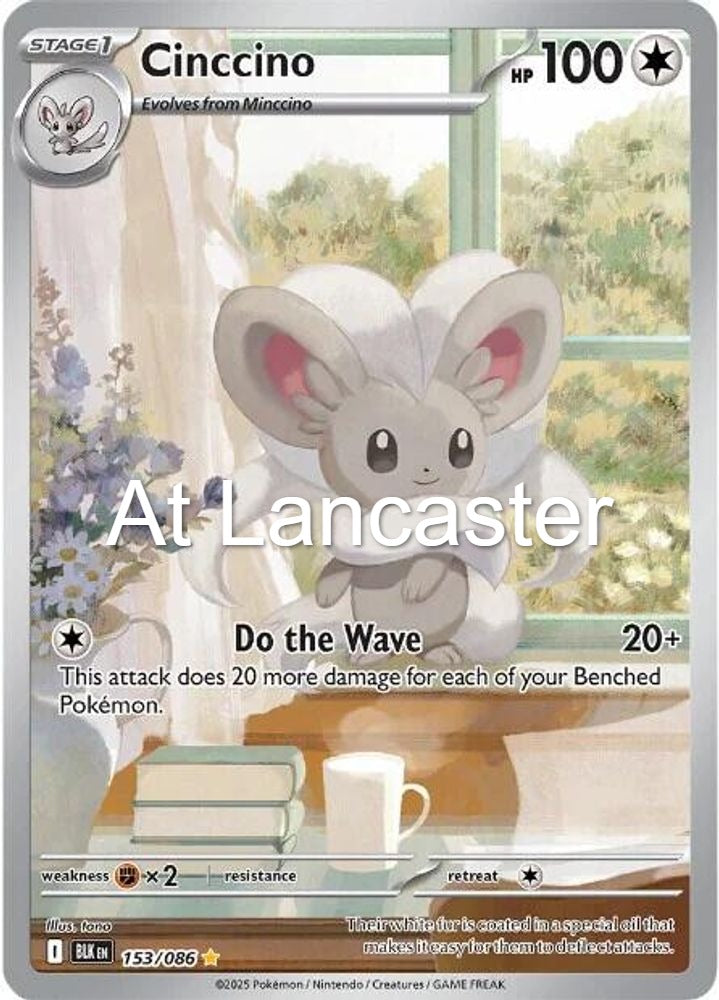 Cinccino - 153/086 Black Bolt Illustration Rare Pokemon - NM (Lanc)