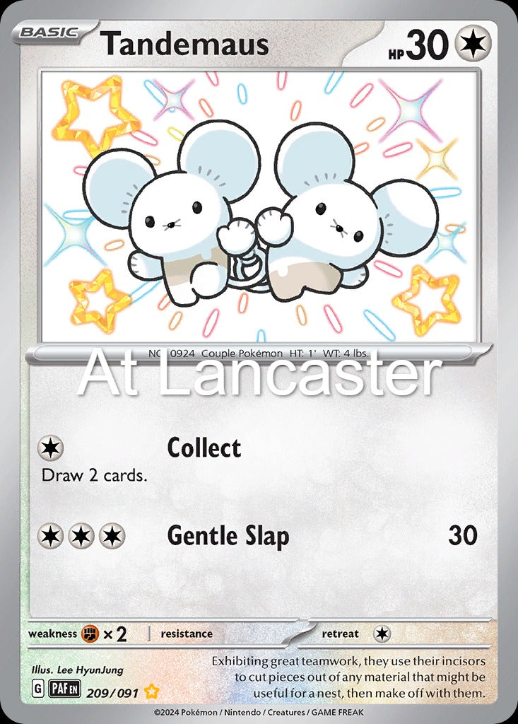 Tandemaus - 209/091 Paldean Fates Shiny Rare Pokemon - NM (Lanc)