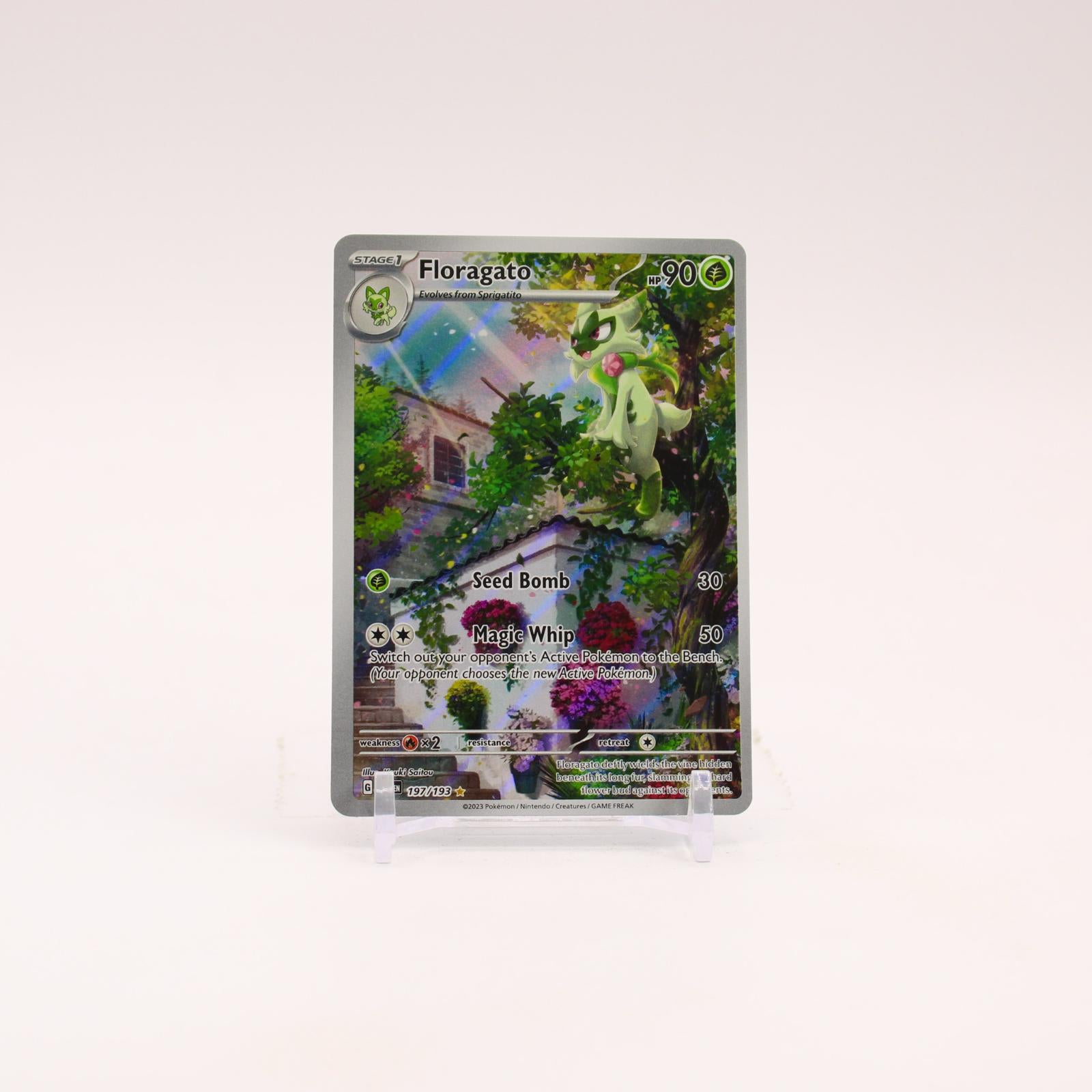 Floragato - 197/193 Paldea Evolved Illustration Rare Pokemon - NM