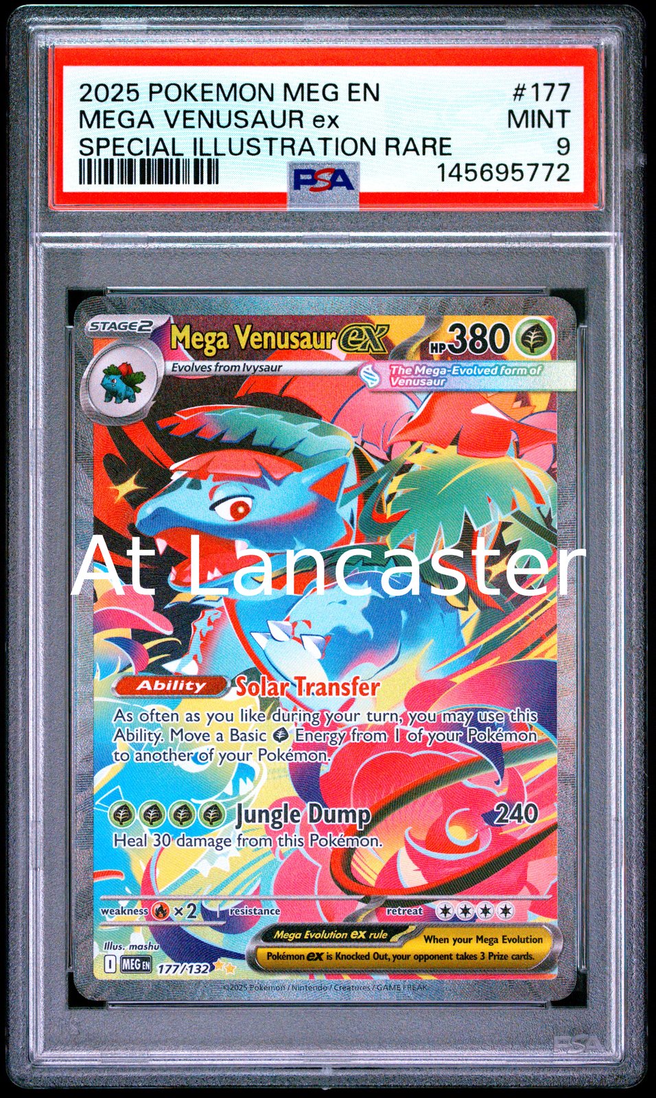 Mega Venusaur EX - 177/132 PSA 9 Special Illustration Rare Pokemon (Lanc)