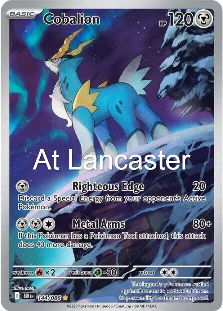 Cobalion - 144/086 Black Bolt Holo Illustration Rare Pokemon - NM (Lanc)