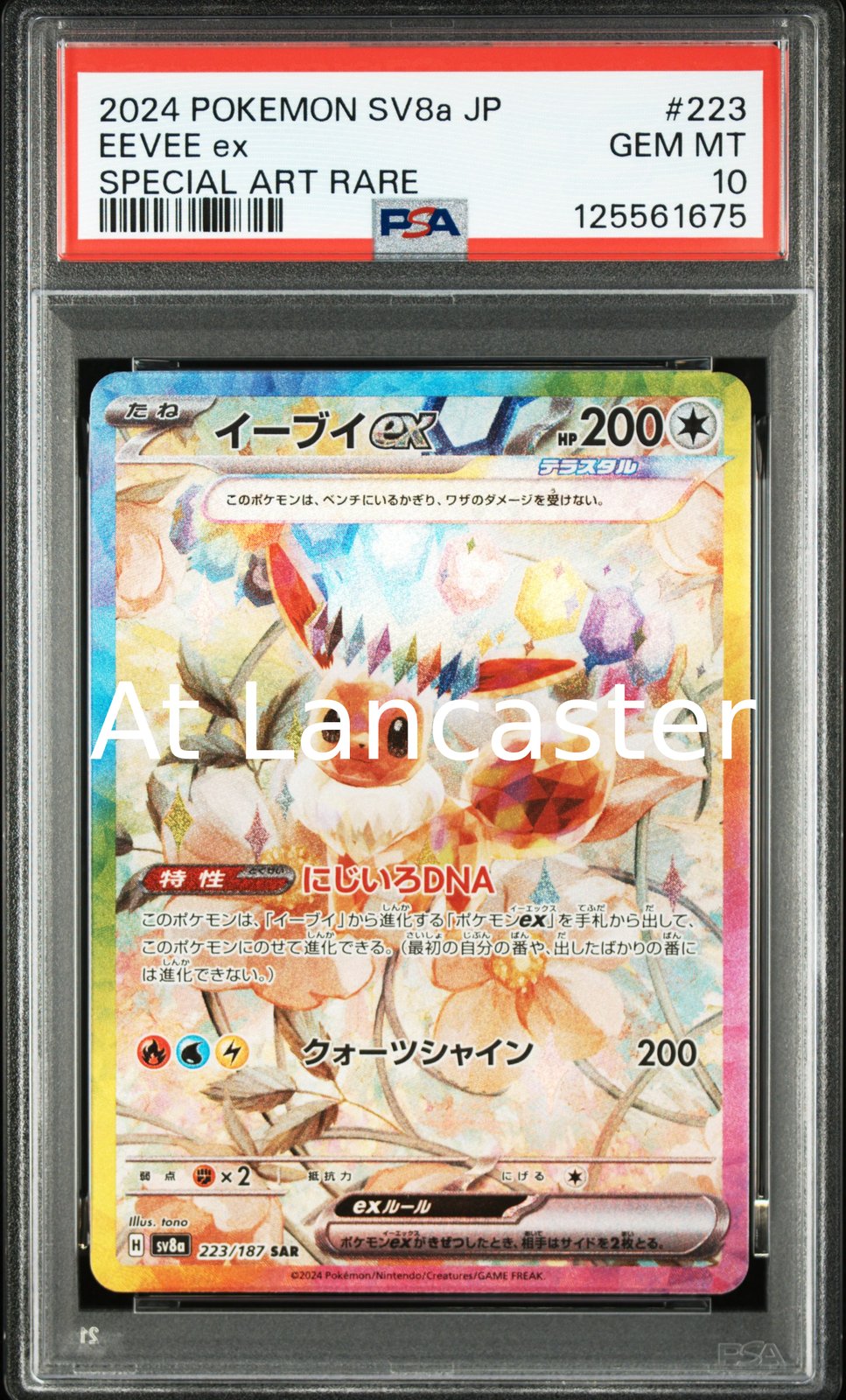 Eevee EX - 223/187 Japanese PSA 10 Special Art Rare Pokemon (Lanc)