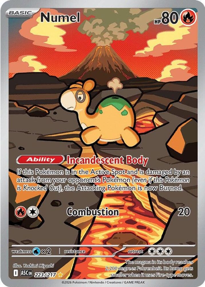 Numel - 223/217 Ascended Heroes Illustration Rare Holo Pokemon - NM