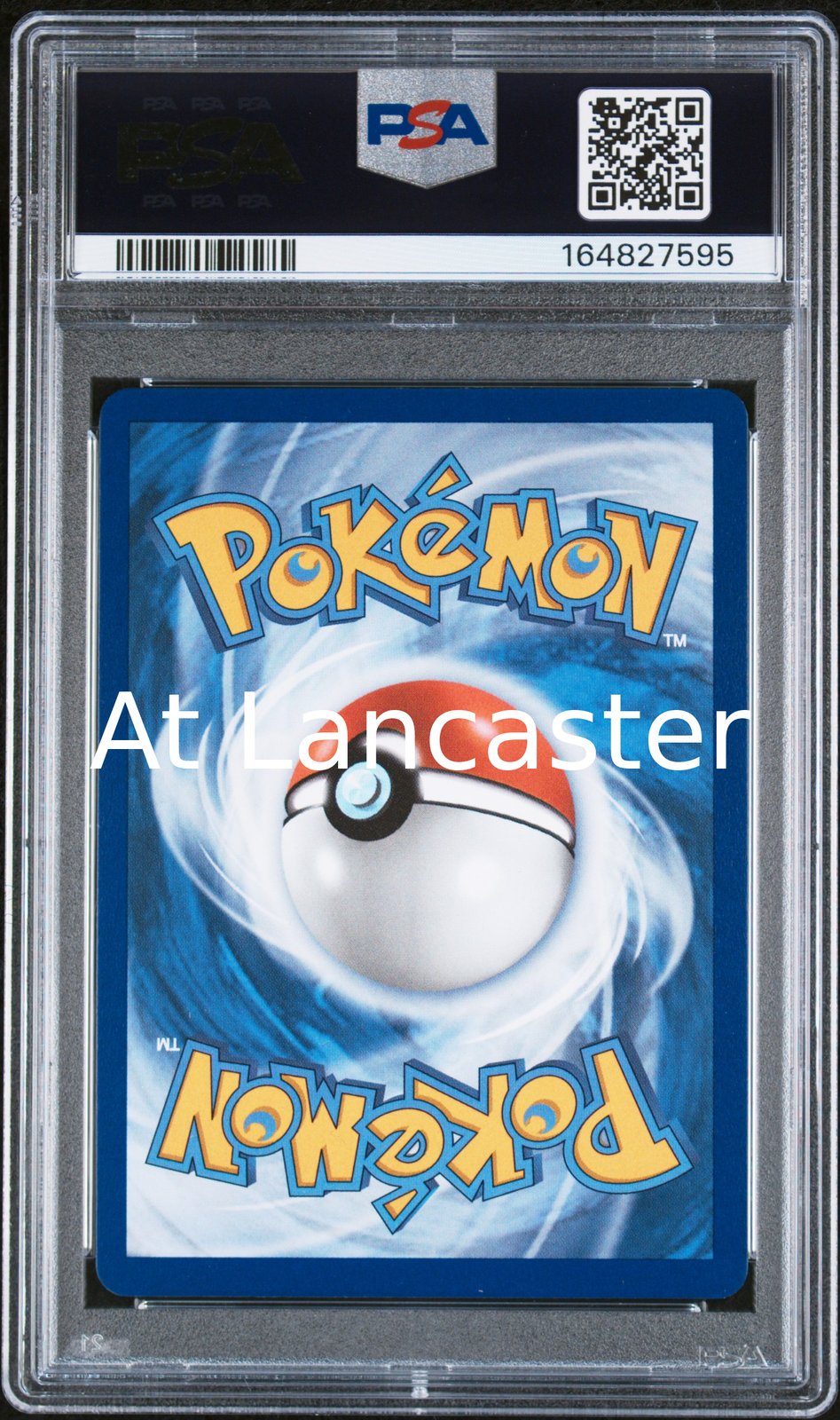 Squirtle - 039 PSA 10 First Partner Illustration Collection Series 1 Pokemon