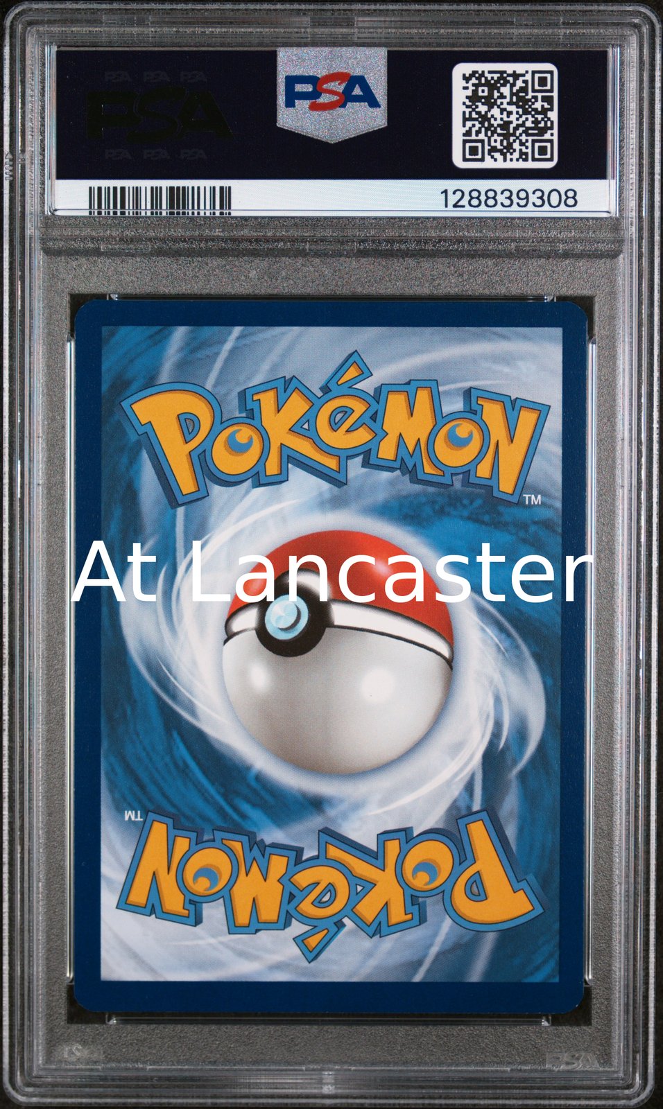 Bulbasaur - 143/142 PSA 9 Stellar Crown Illustration Rare Pokemon (Lanc)