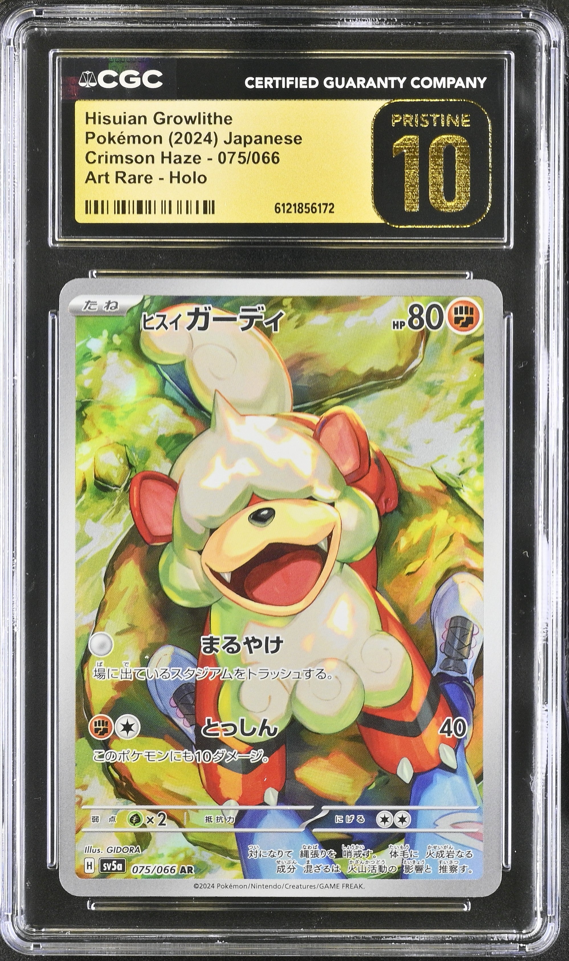 Hisuian Growlithe - 075/066 CGC 10 SV5a Crimson Haze AR Pokemon - PRISTINE