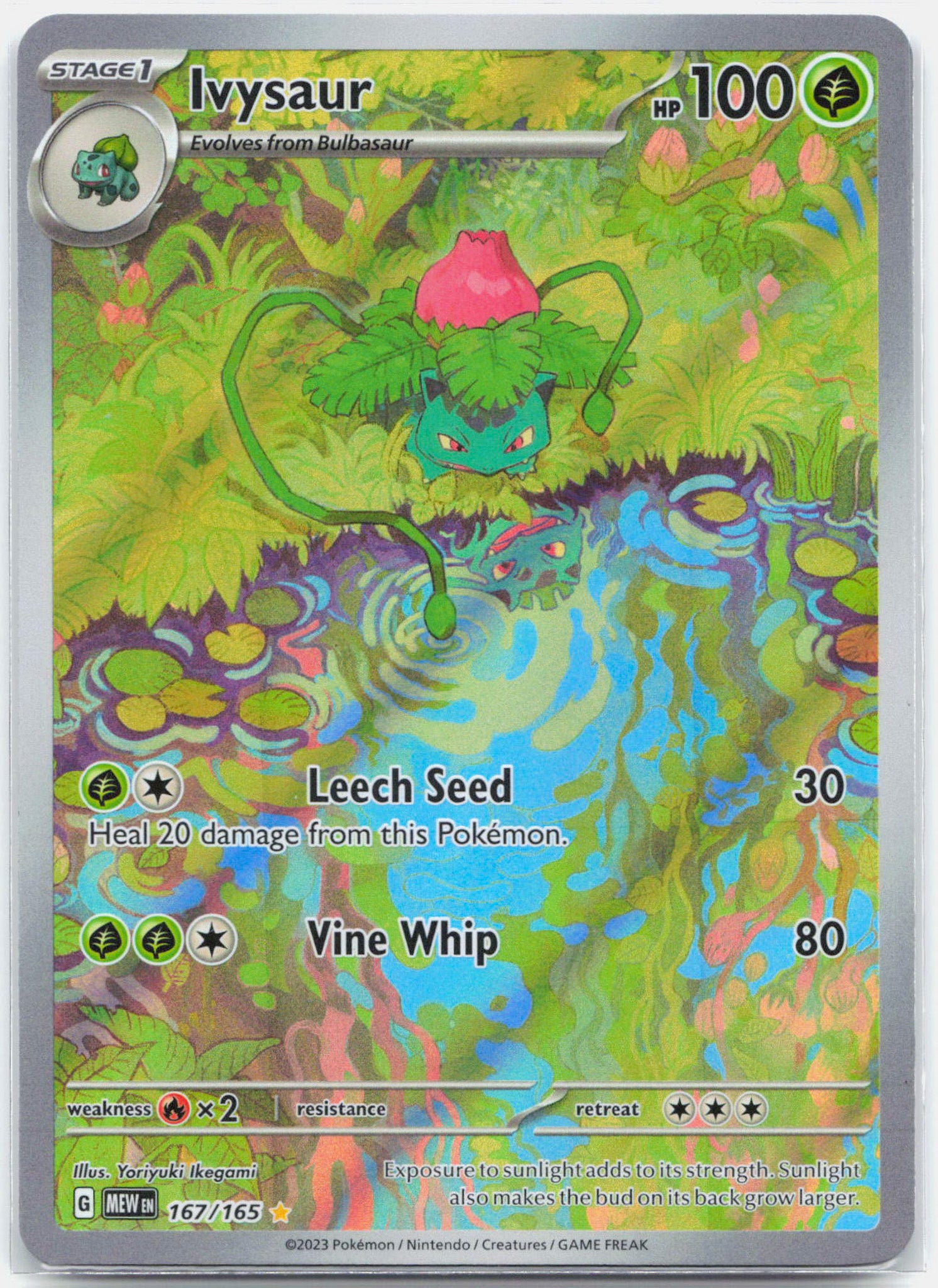 Ivysaur - 167/165 151 Illustration Rare Pokemon - NM