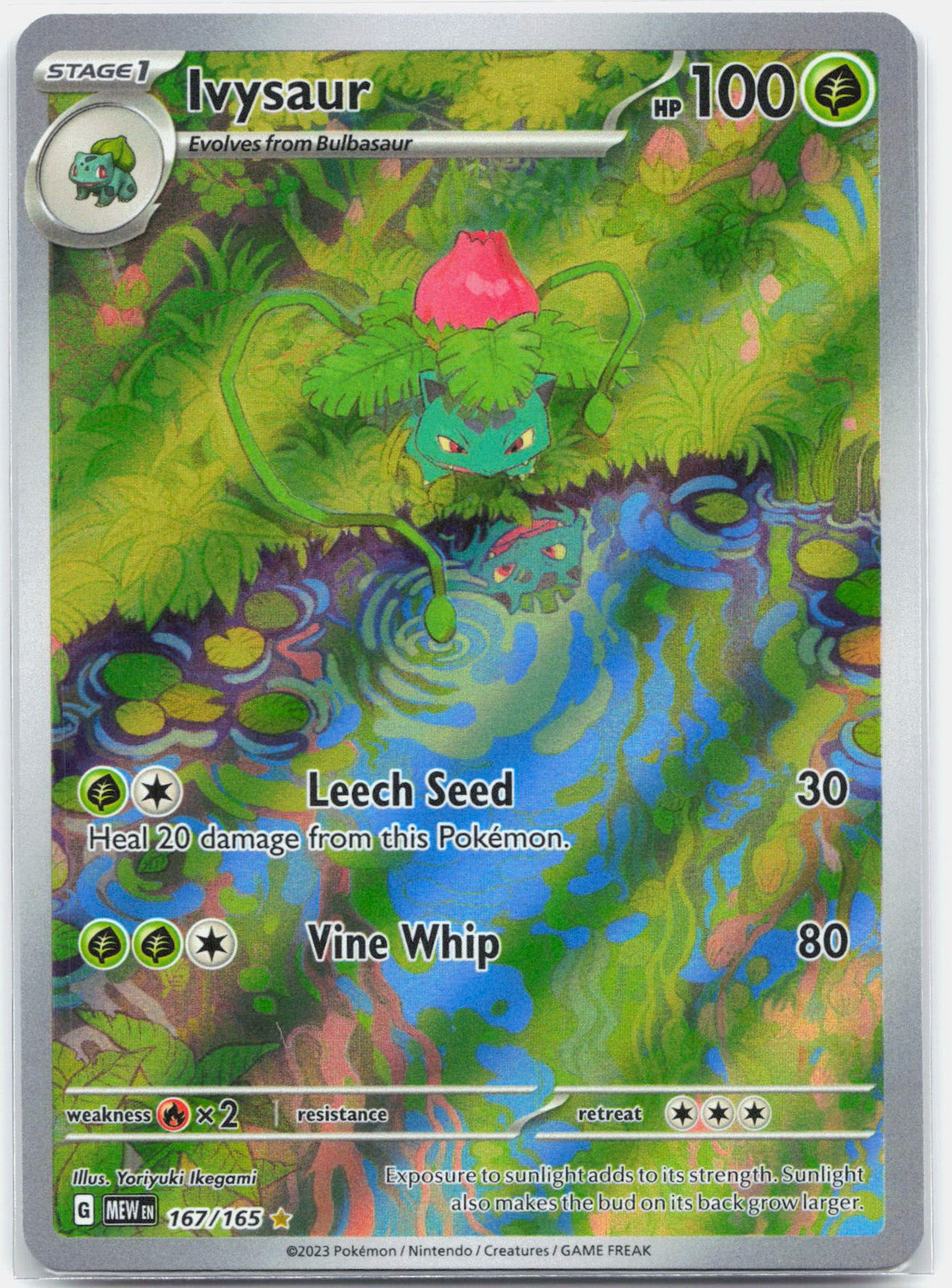 Ivysaur - 167/165 151 Illustration Rare Pokemon - NM/MINT