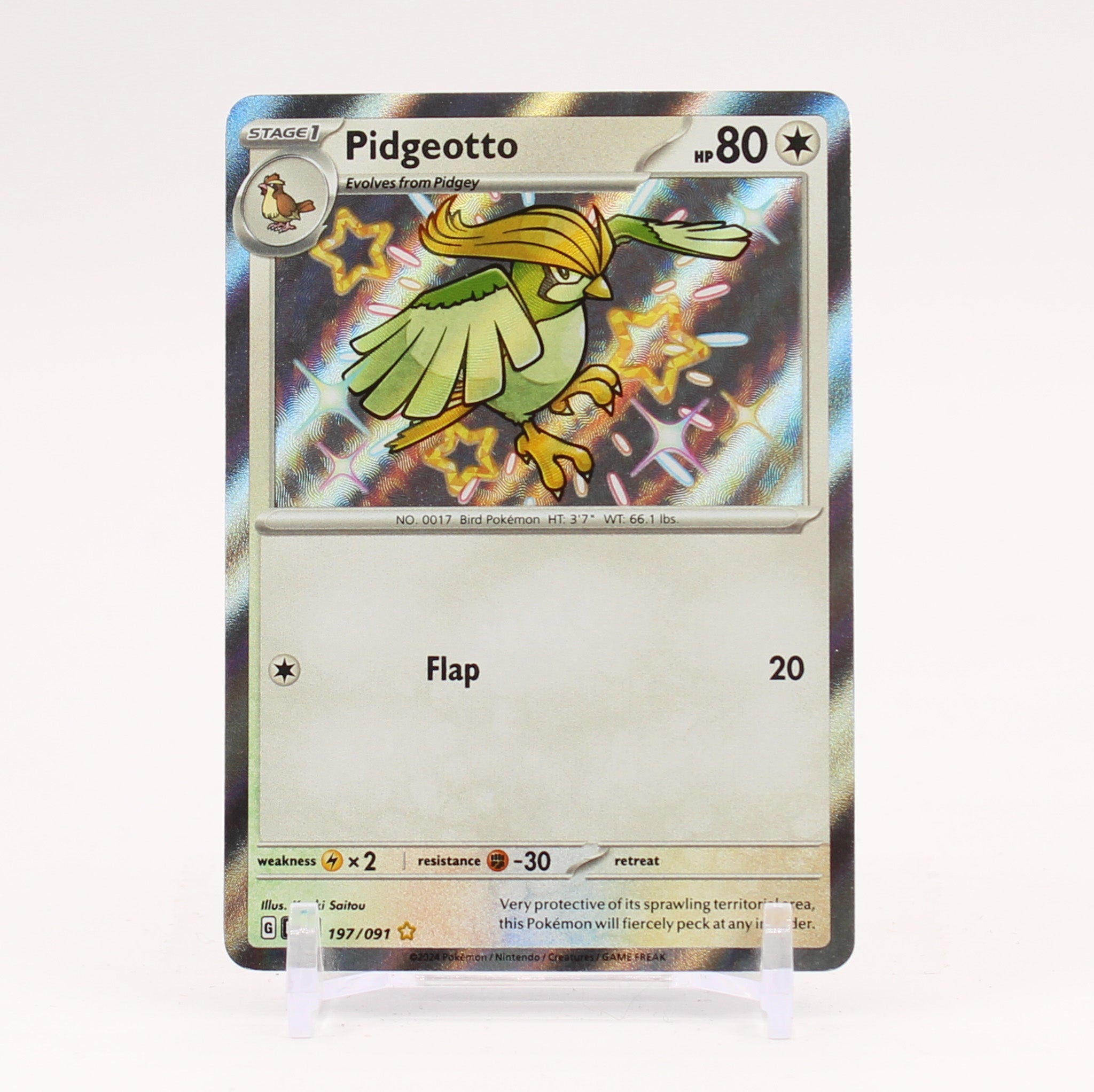 Pidgeotto - 197/091 Paldean Fates Baby Shiny Holo Rare Pokemon - NM/MINT