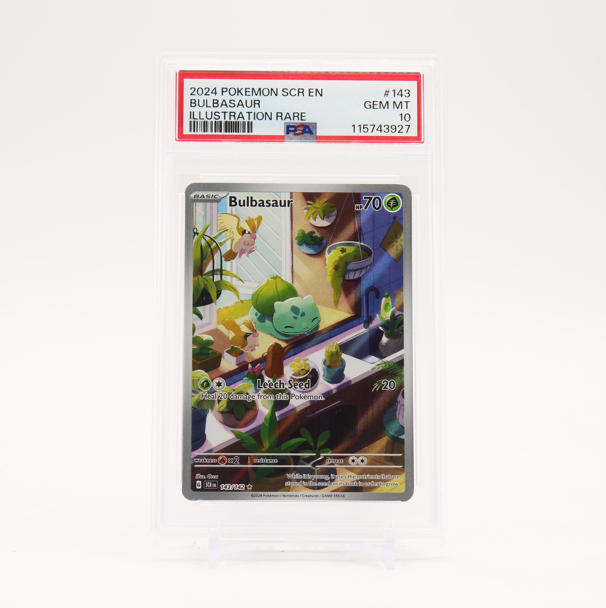Bulbasaur - 143/142 PSA 10 Stellar Crown Illustration Rare Pokemon - GEM MT