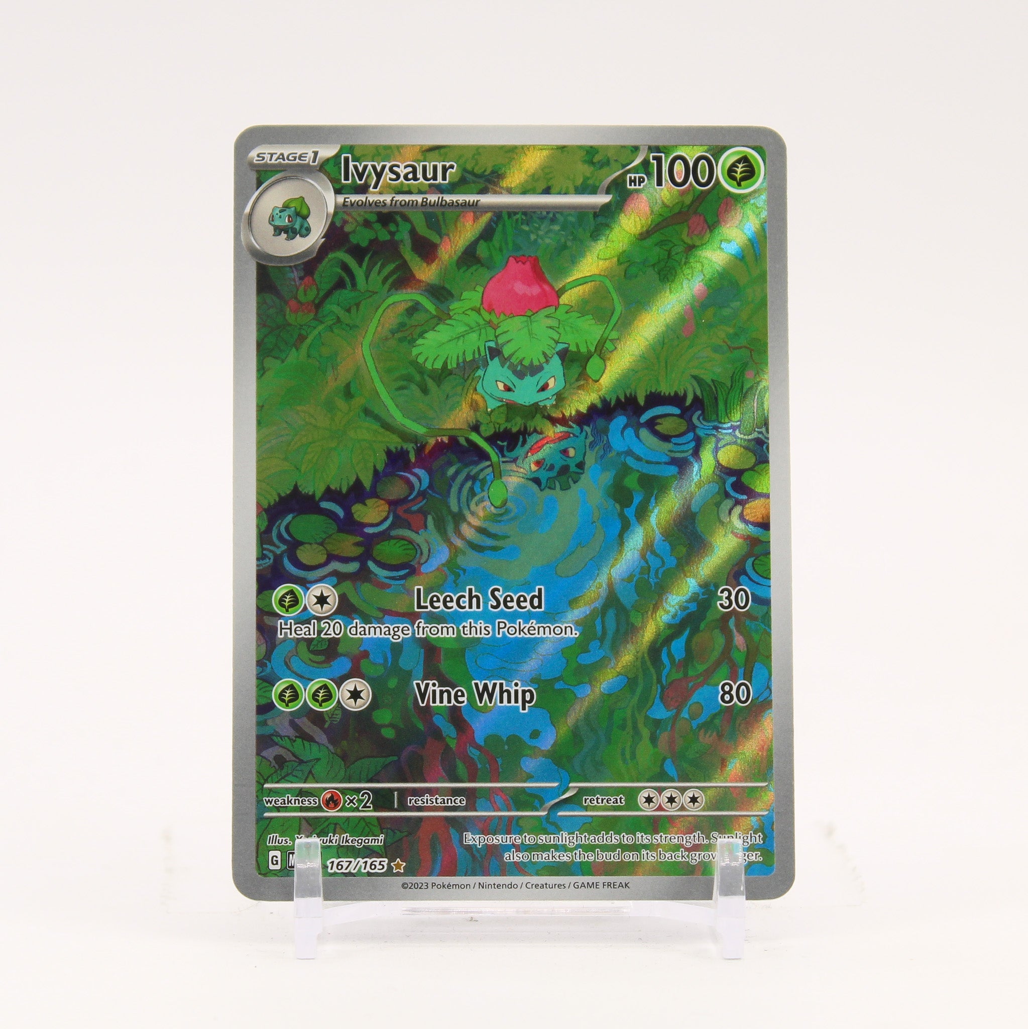 Ivysaur - 167/165 151 Illustration Rare Pokemon - NM/LP