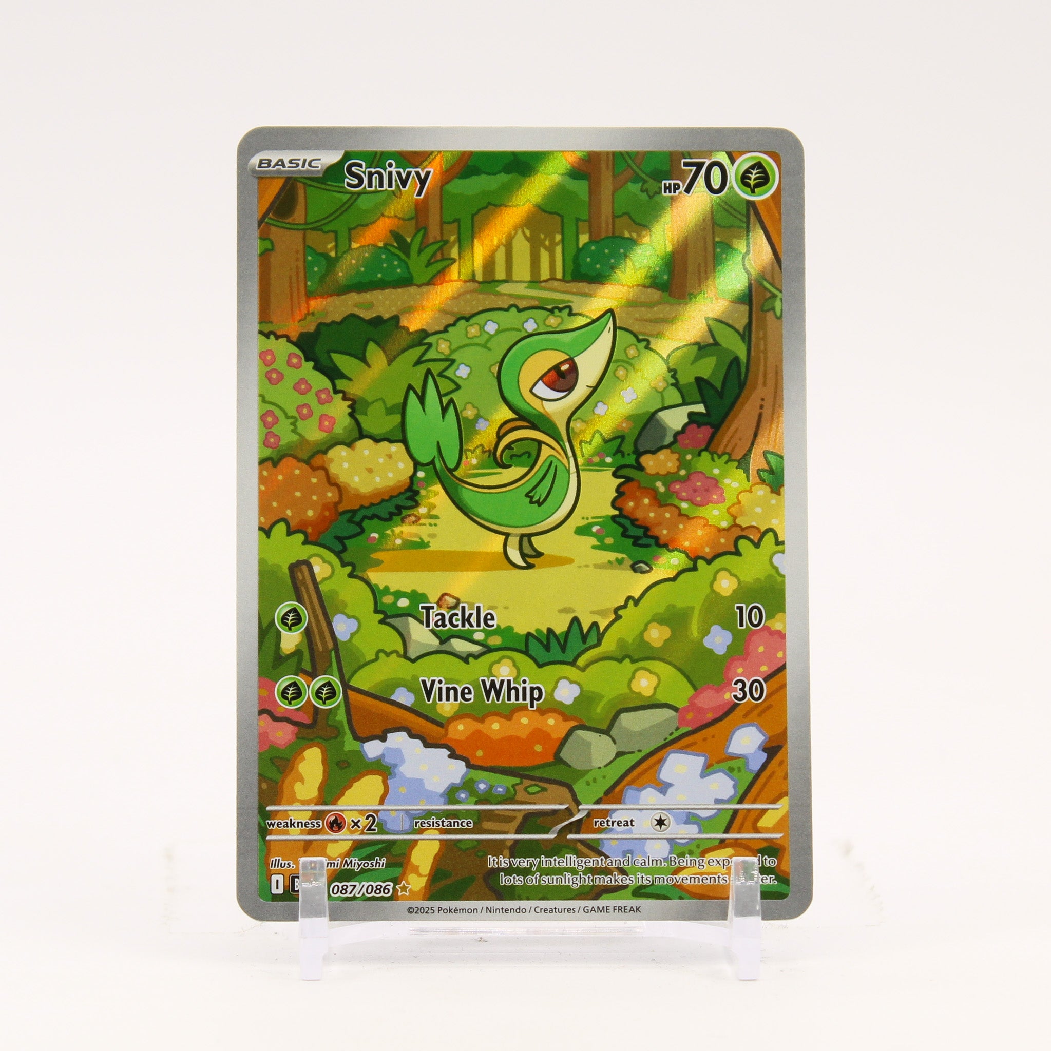 Snivy - 087/086 Black Bolt Illustration Rare Pokemon - NM