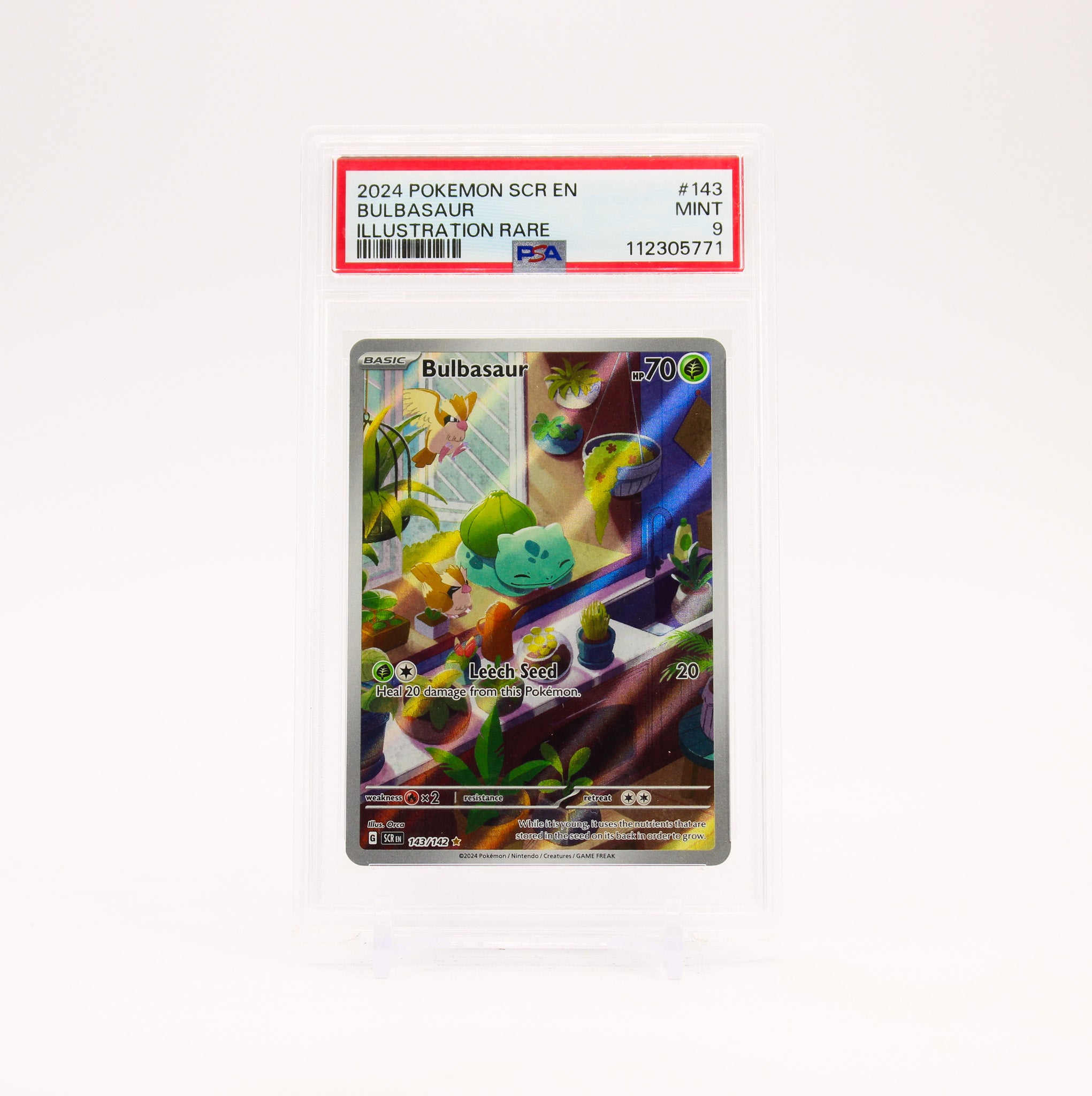 Bulbasaur - 143/142 PSA 9 Stellar Crown Illustration Rare Pokemon - MINT