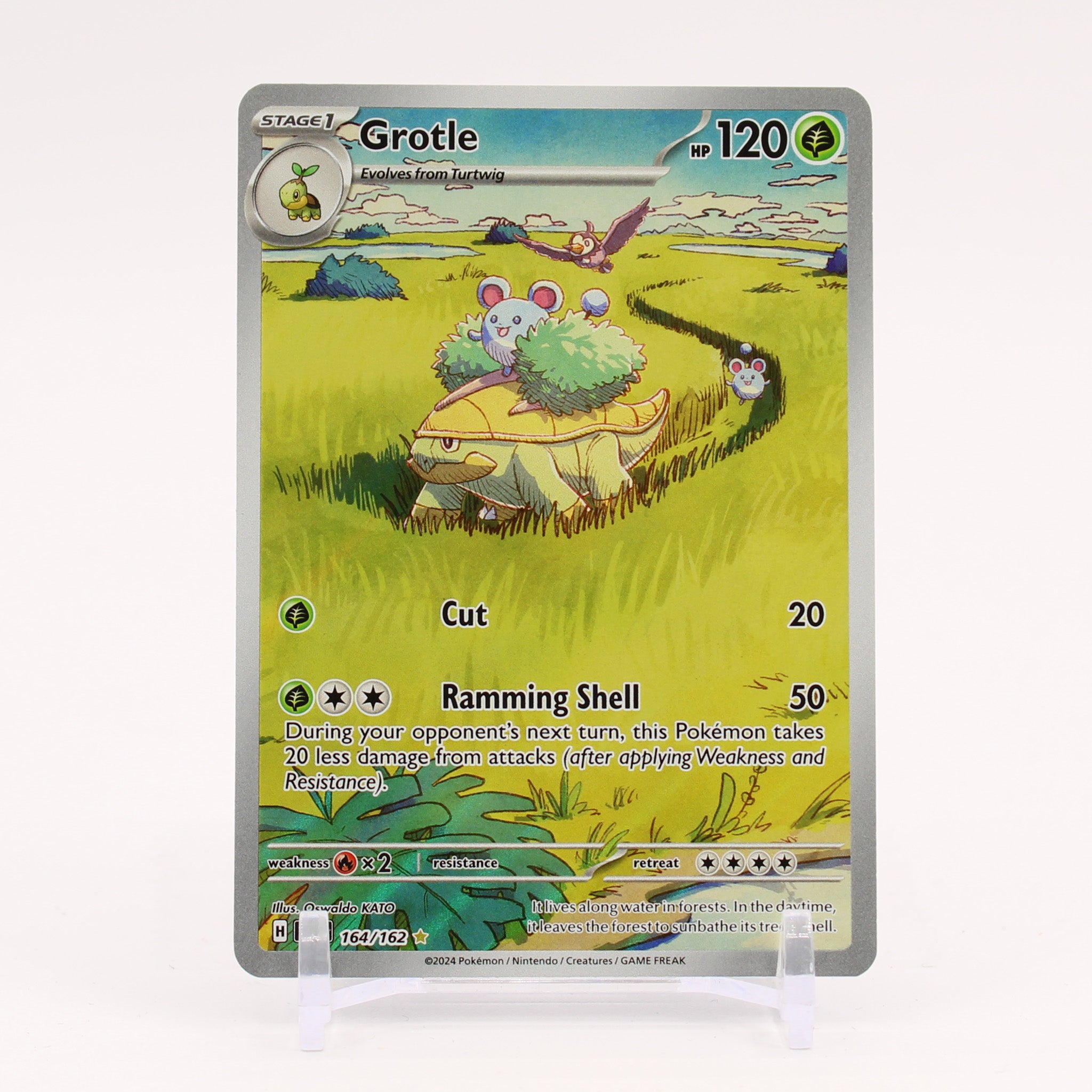 Grotle - 164/162 Temporal Forces Illustration Trainer Pokemon - NM/MINT