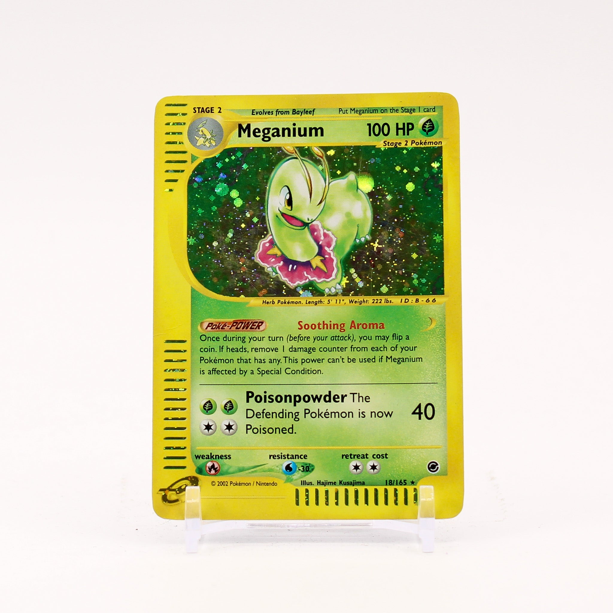 Meganium - 18/165 Expedition e-Reader Holo Rare Pokemon - LP/MP