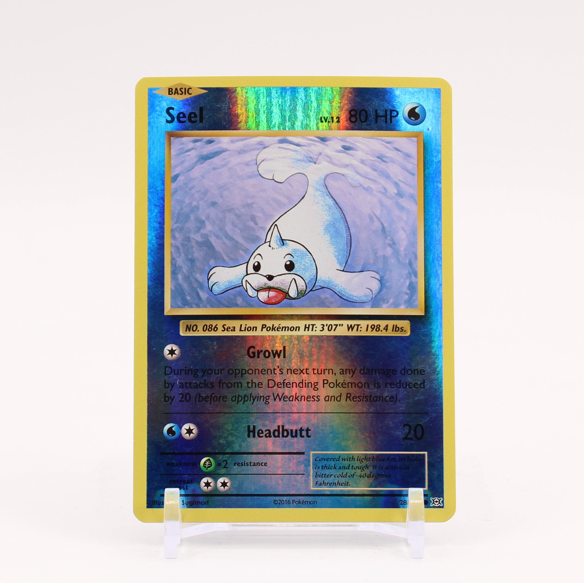 Seel - 28/108 Evolutions Reverse Holo Pokemon - NM