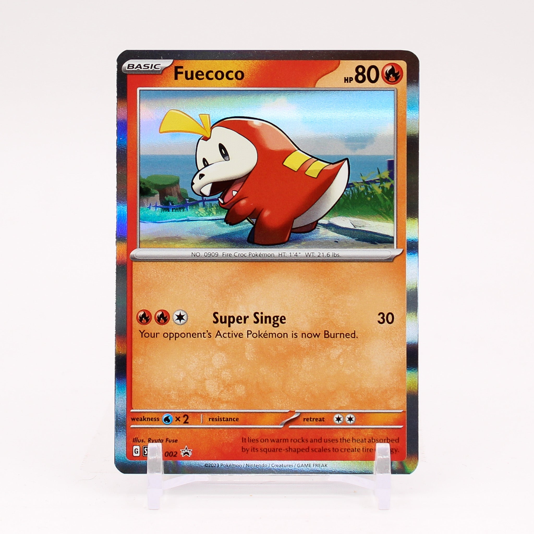 Fuecoco - SVP002 Black Star Promo Holo Pokemon - NM/MINT