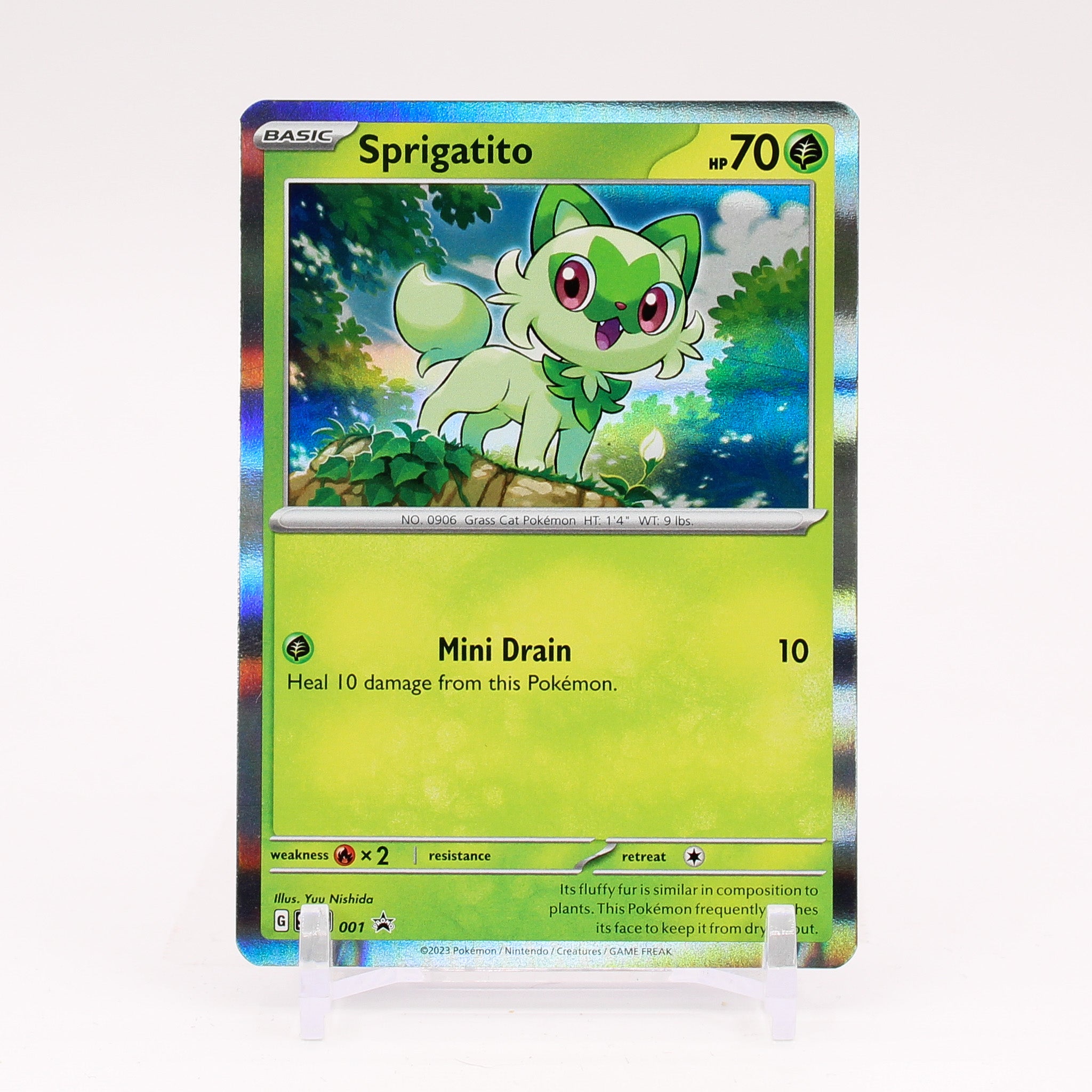 Sprigatito - SVP001 Black Star Promo Holo Pokemon - NM/MINT