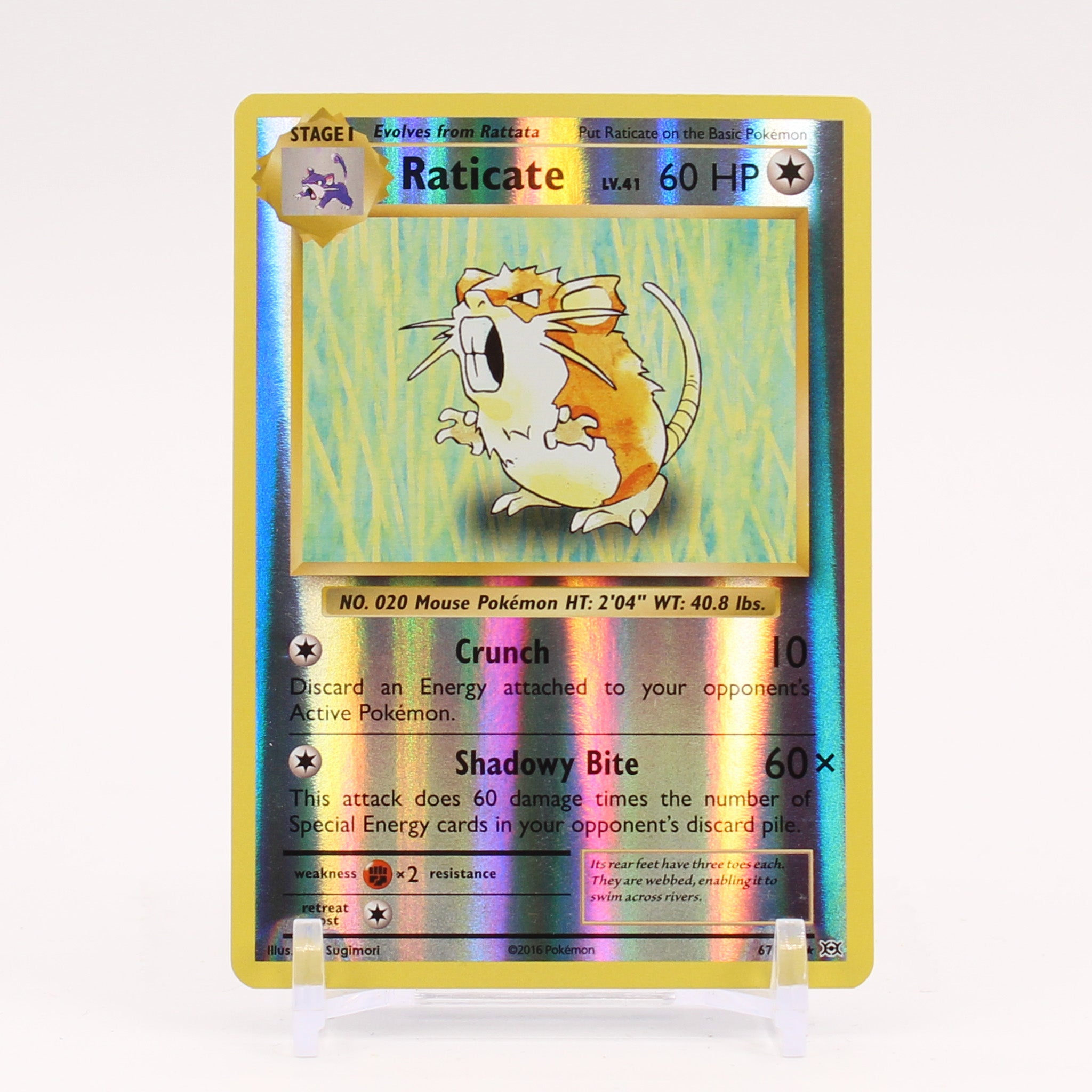 Raticate - 67/108 Evolutions Reverse Holo Rare Pokemon - NM