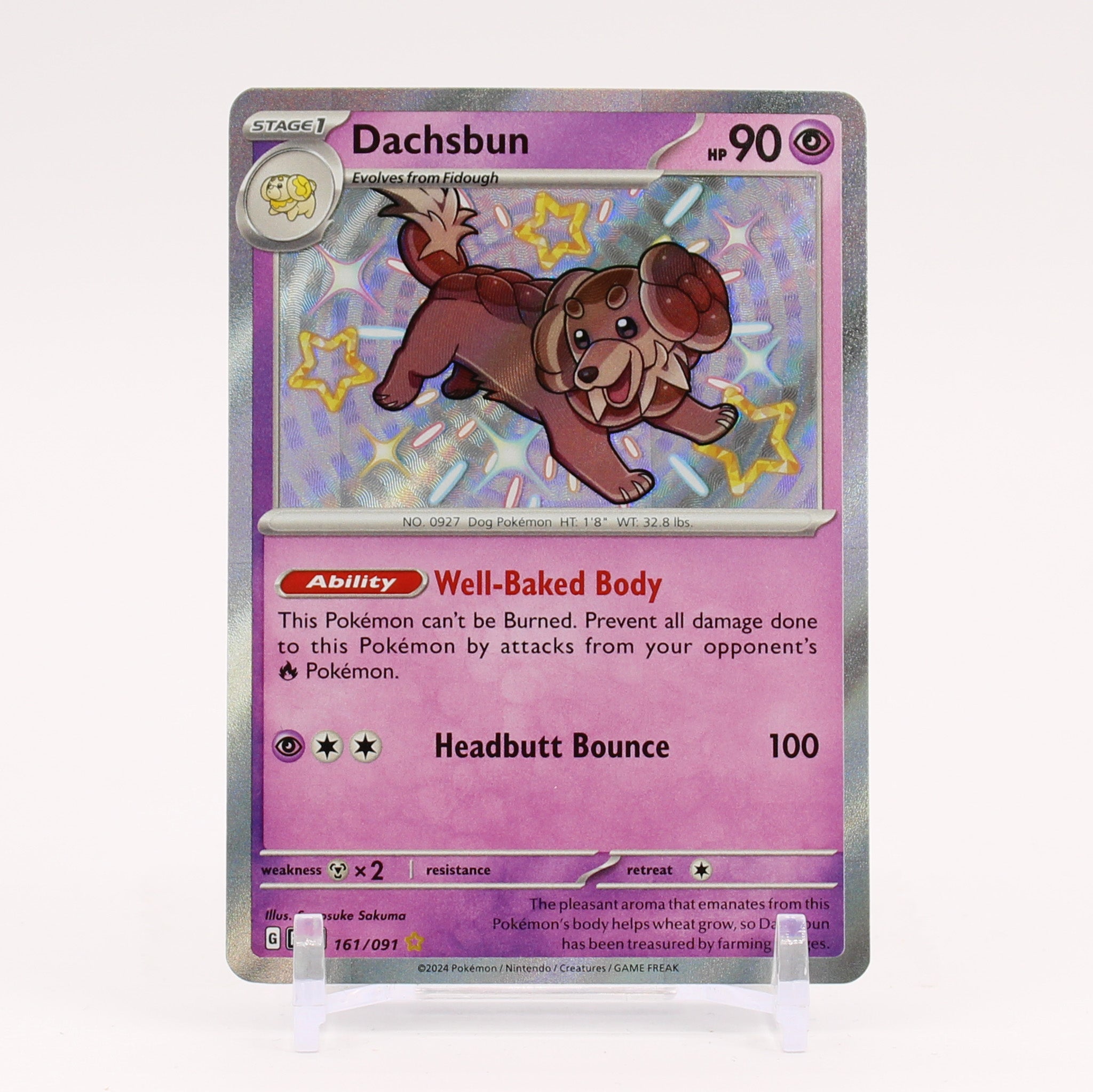 Dachsbun - 161/091 Paldean Fates Baby Shiny Holo Rare Pokemon - NM/MINT