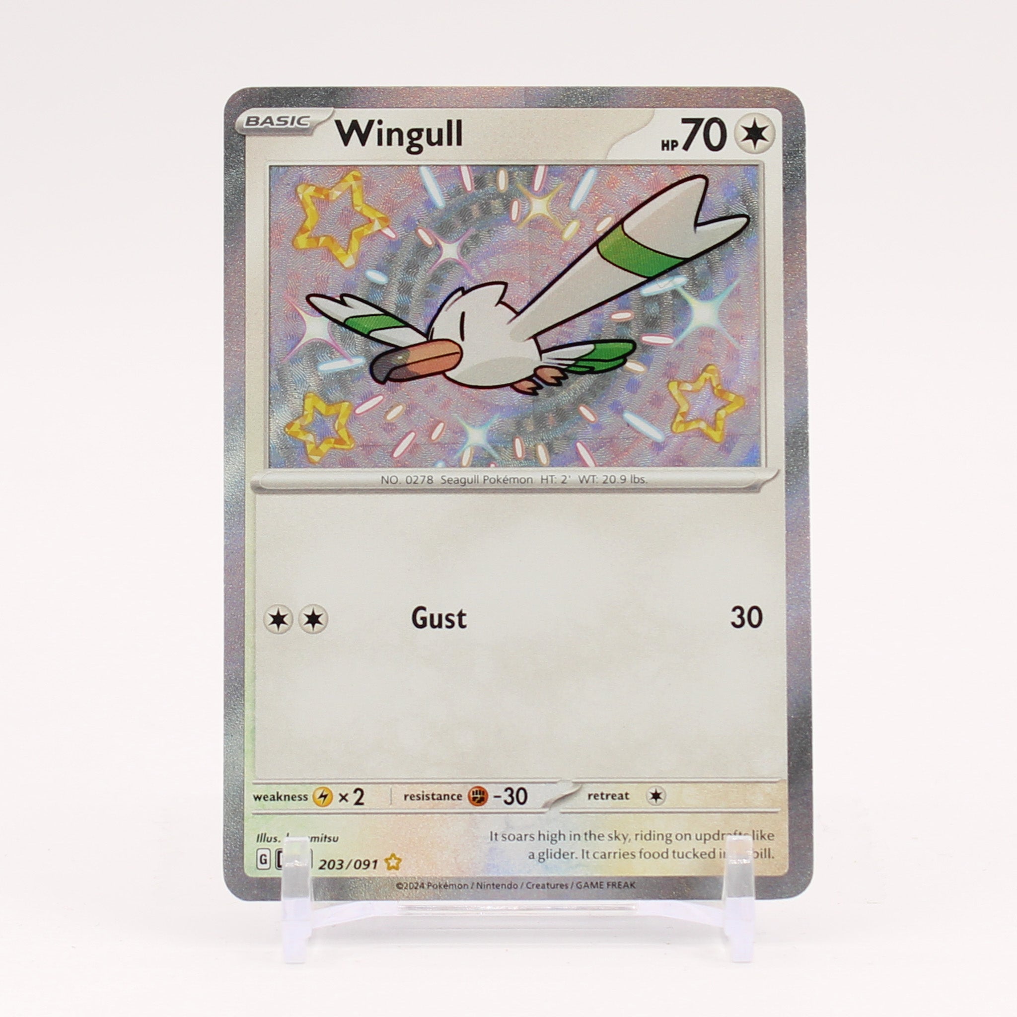 Wingull - 203/091 Paldean Fates Baby Shiny Holo Rare Pokemon - NM/MINT