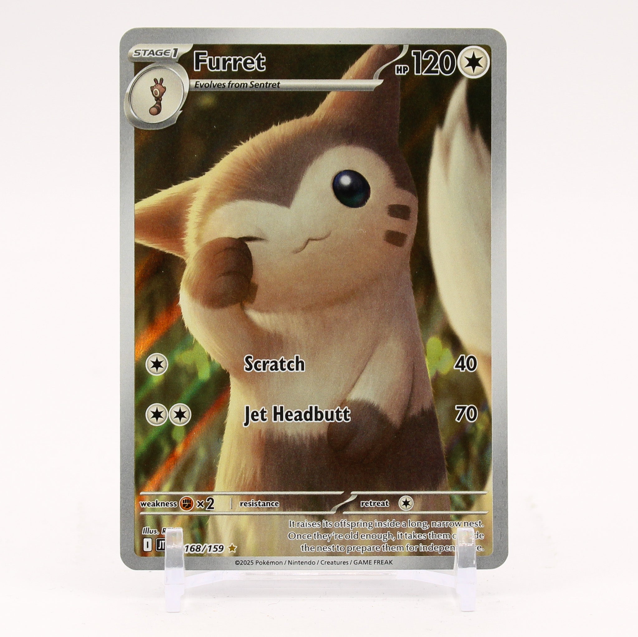 Furret - 168/159 Journey Together Illustration Rare Pokemon - NM/MINT