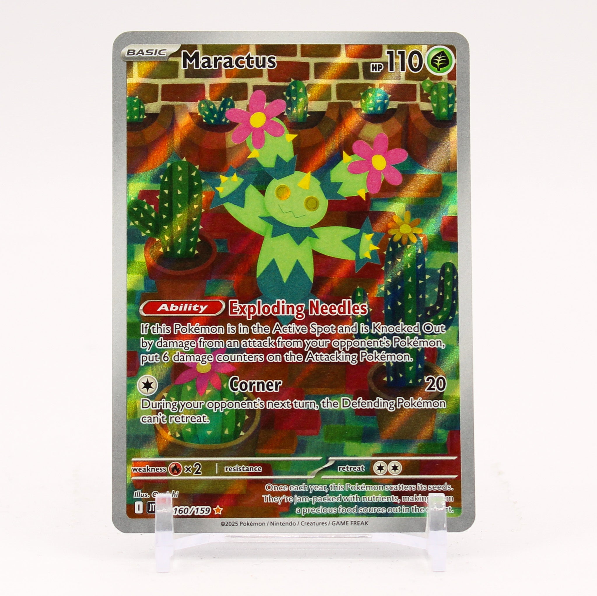 Maractus - 160/159 Journey Together Illustration Rare Pokemon - NM/MINT