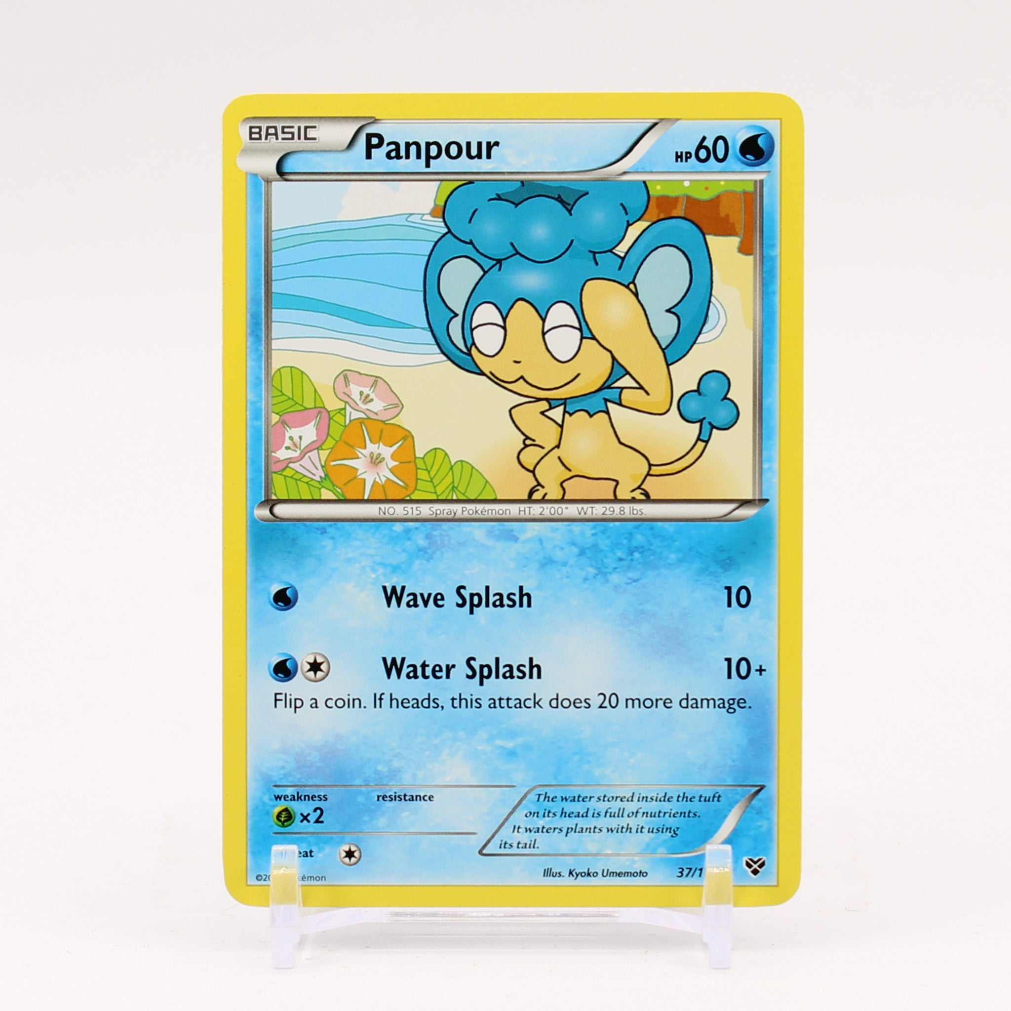 Panpour - 37/146 XY Pokemon - NM