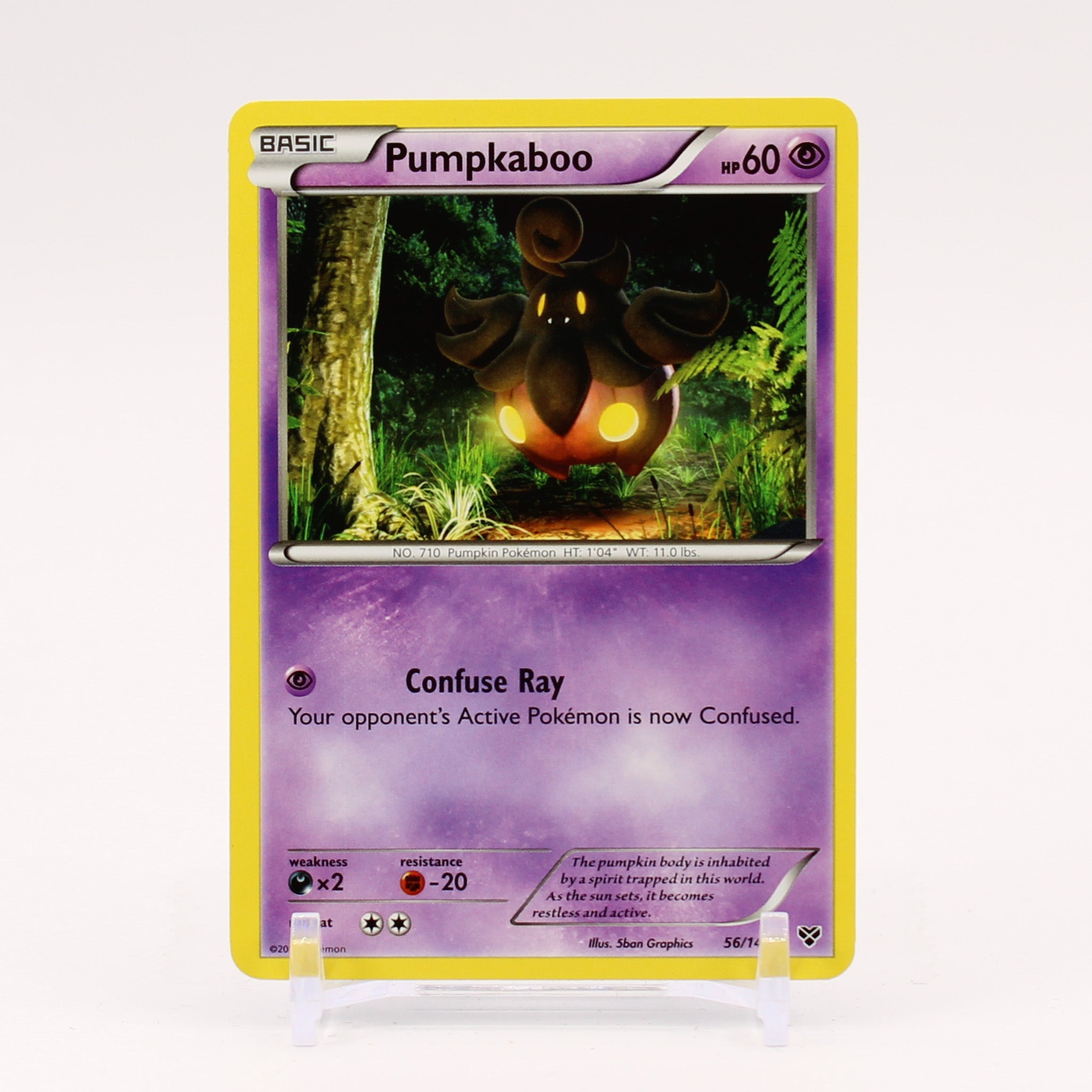 Pumpkaboo - 56/146 XY Pokemon - NM