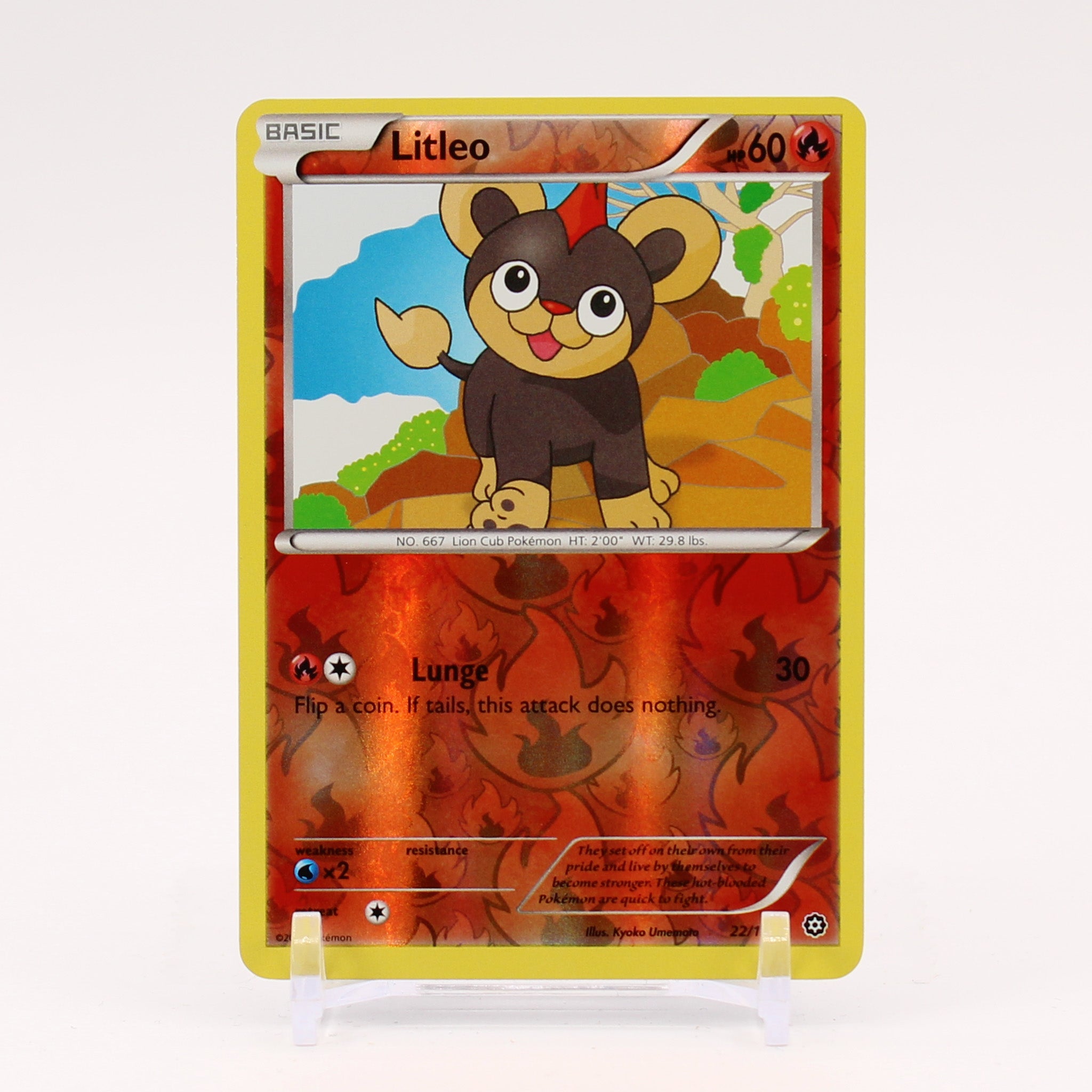 Litleo - 22/114 Steam Siege Reverse Holo Pokemon - NM