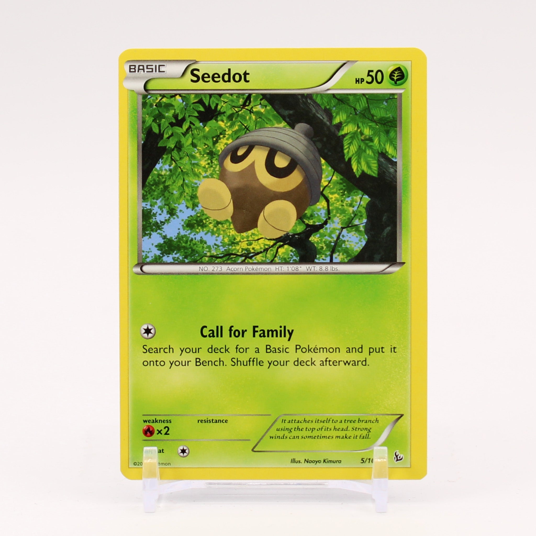 Seedot - 5/106 Flash Fire Pokemon - NM