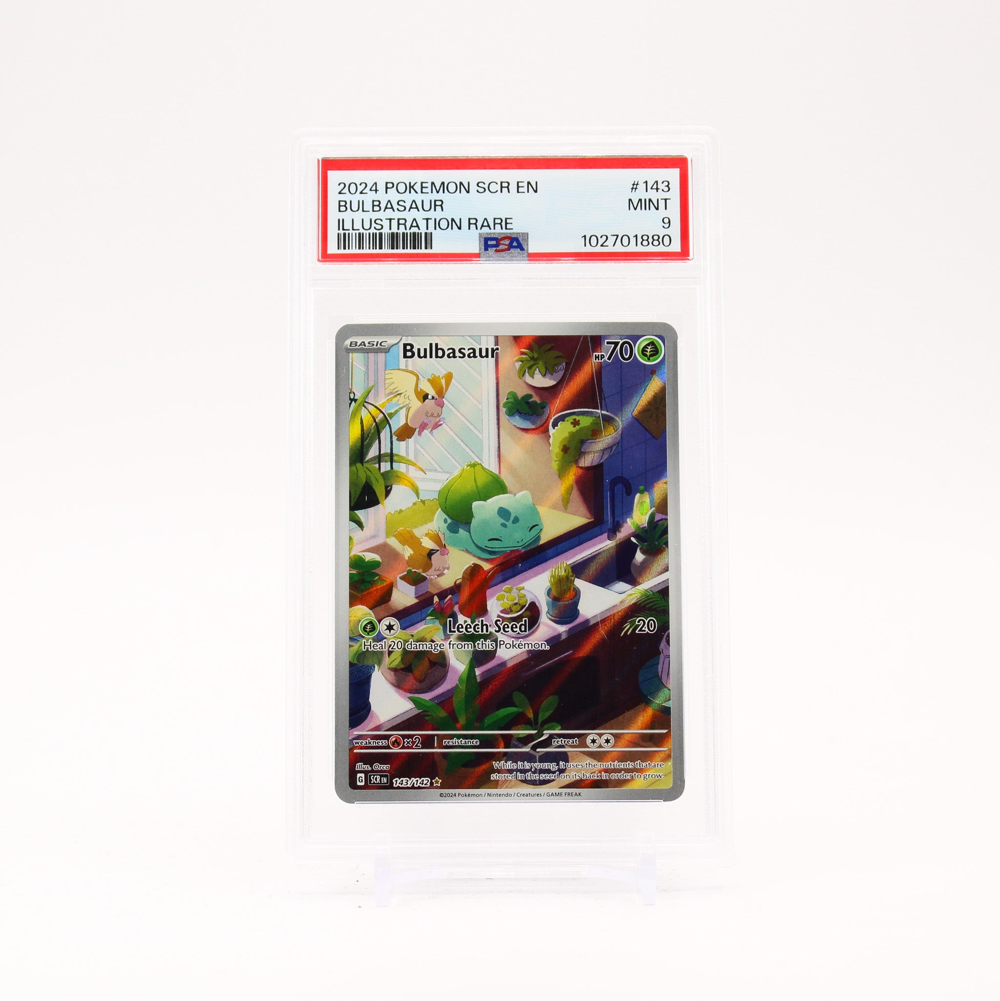 Bulbasaur - 143/142 PSA 9 Stellar Crown Illustration Rare Pokemon - MINT